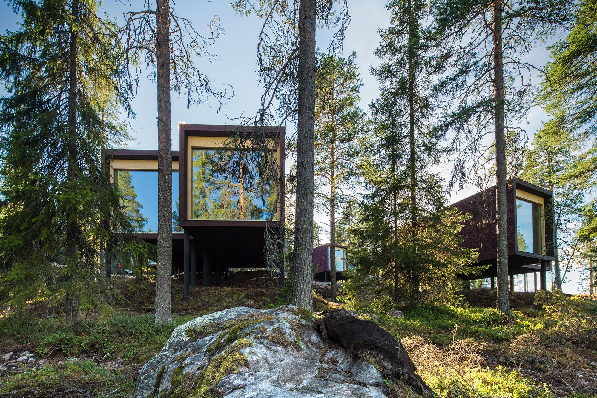 Arctic-TreeHouse-Hotel-Suites-Summer