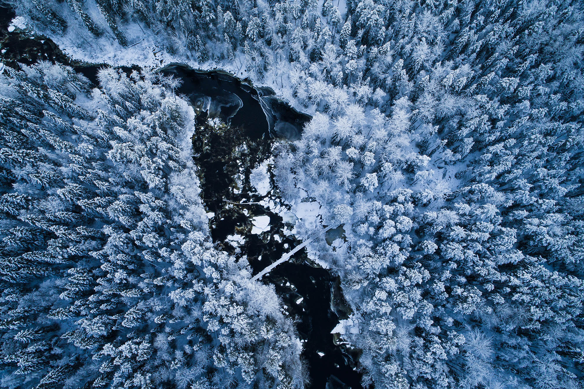 Winter scenery on Lapland