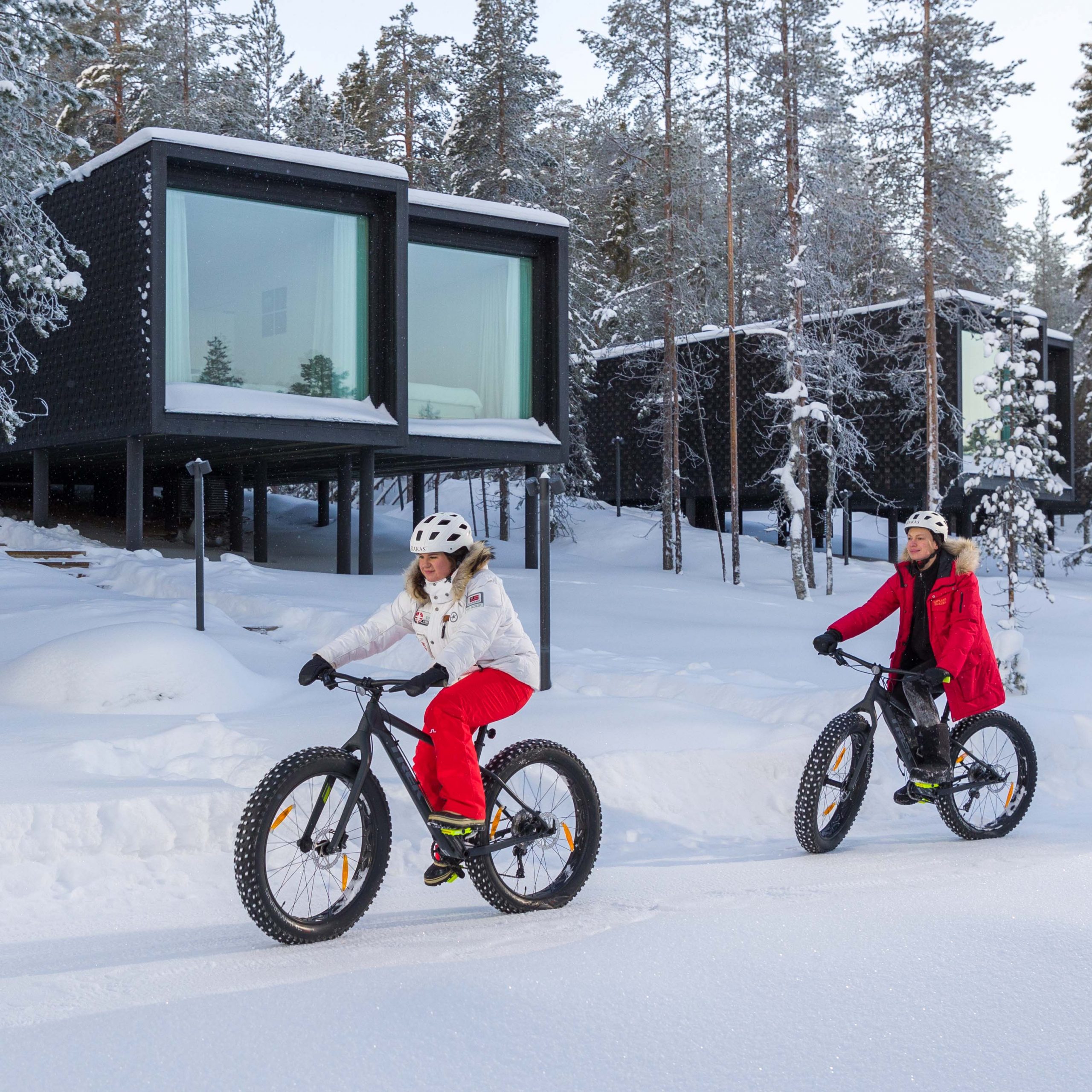Arctic TreeHouse Hotel complimentary activities