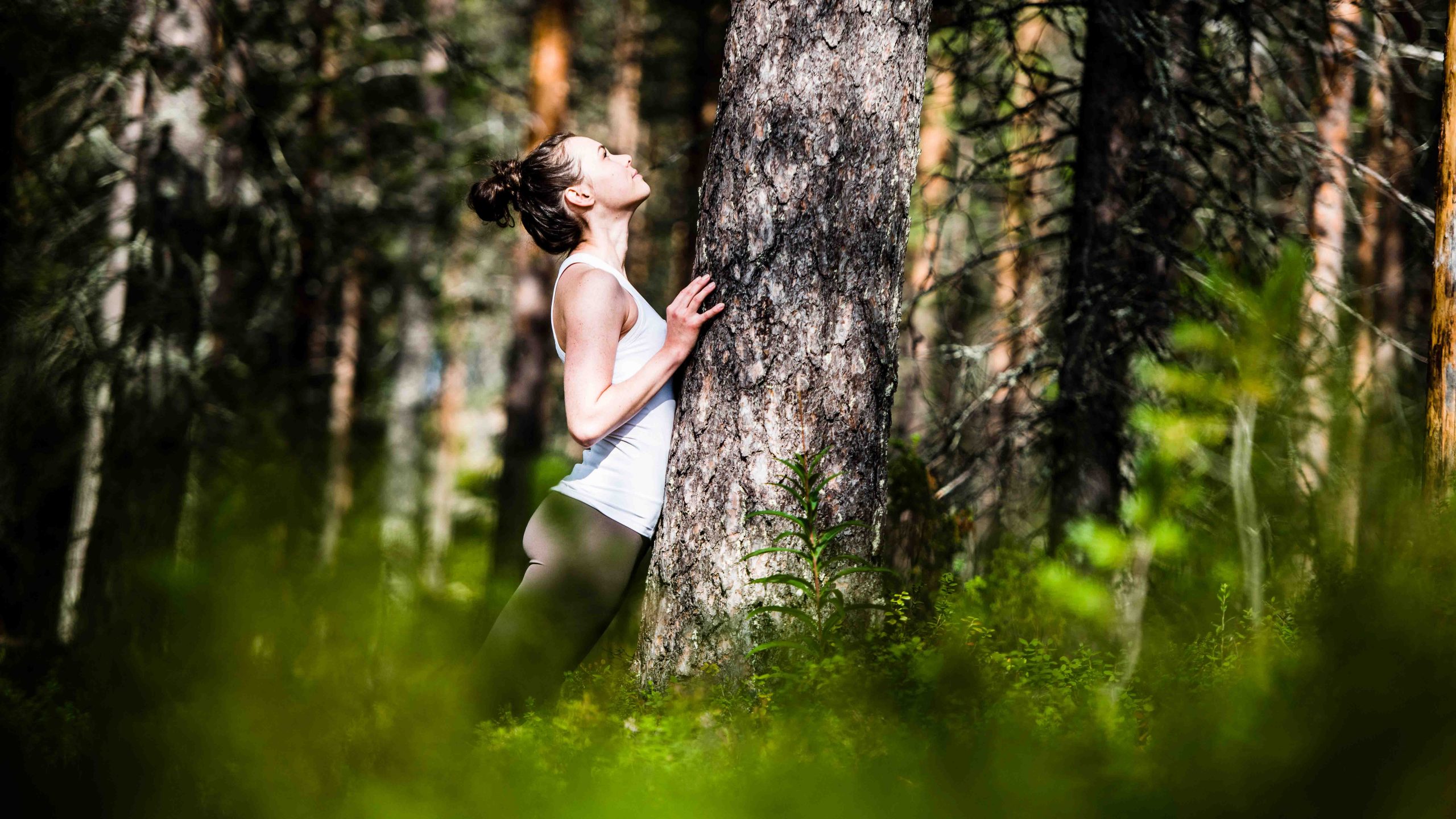 Wellness activities in Arctic TreeHouse Hotel Lapland