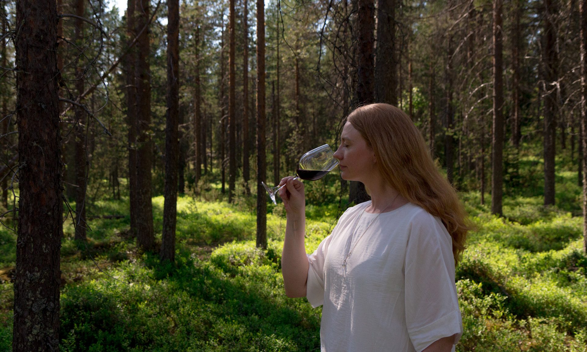 Wine tasting experience in the northern forest | Arctic Treehouse Hotel