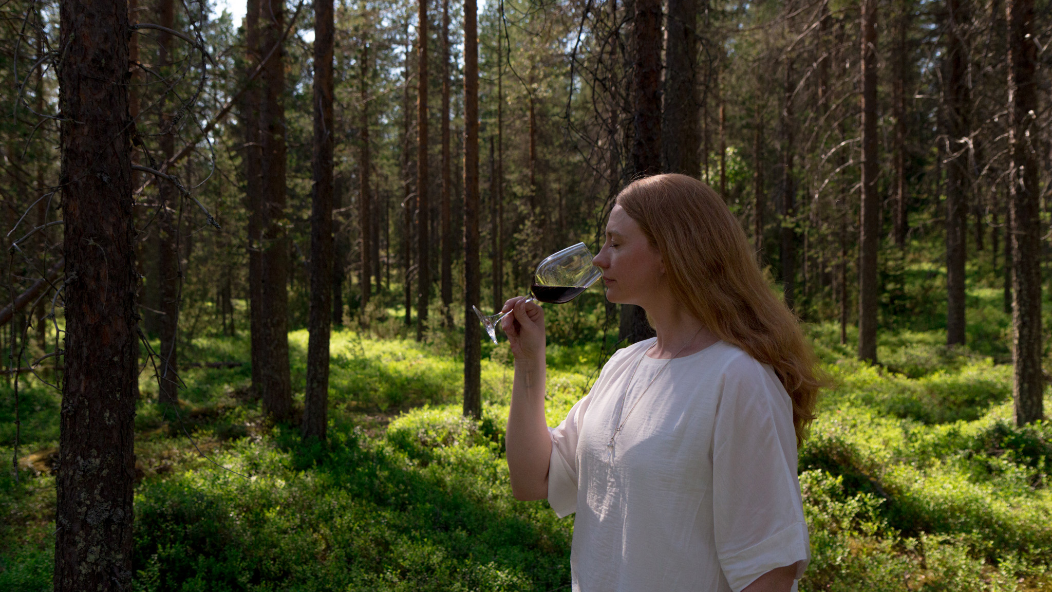Wine tasting experience in the northern forest | Arctic Treehouse Hotel