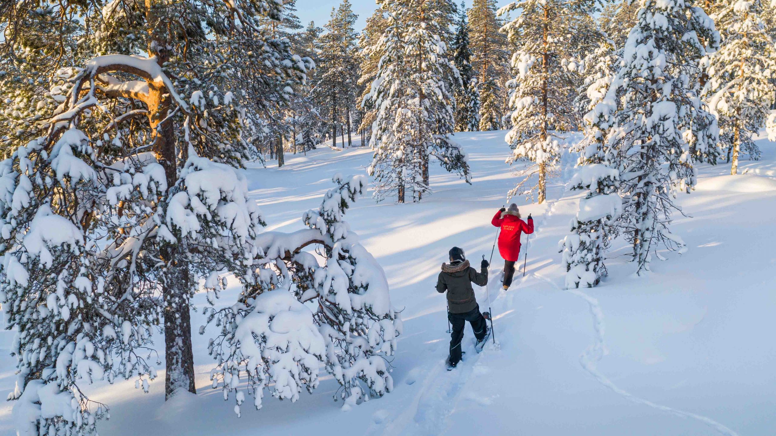 Winter activities in Rovaniemi, Lapland
