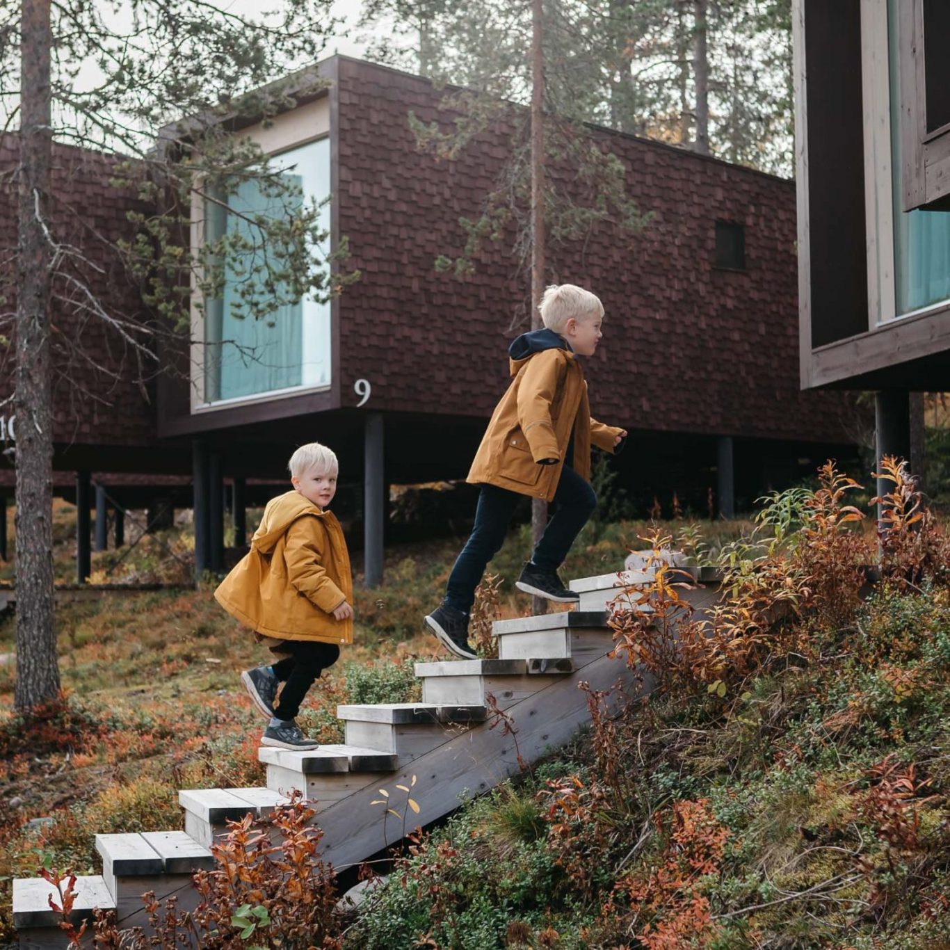 Children runing to the luxurious suites in autumn | Arctic TreeHouse Hotel