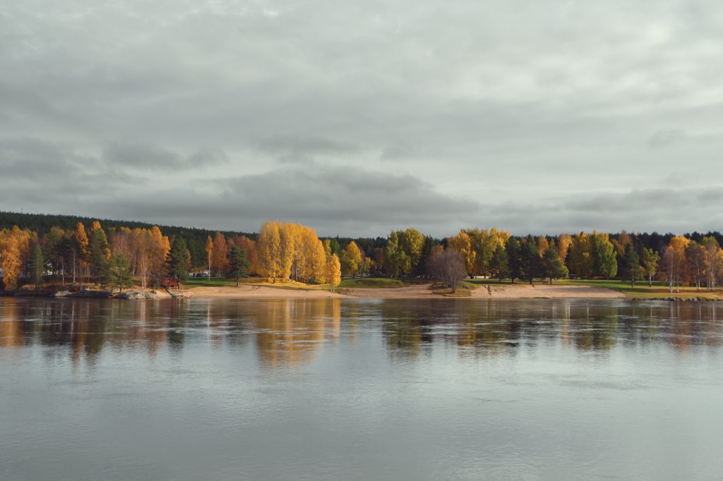 Autumn foliage in Rovaniemi Finland.