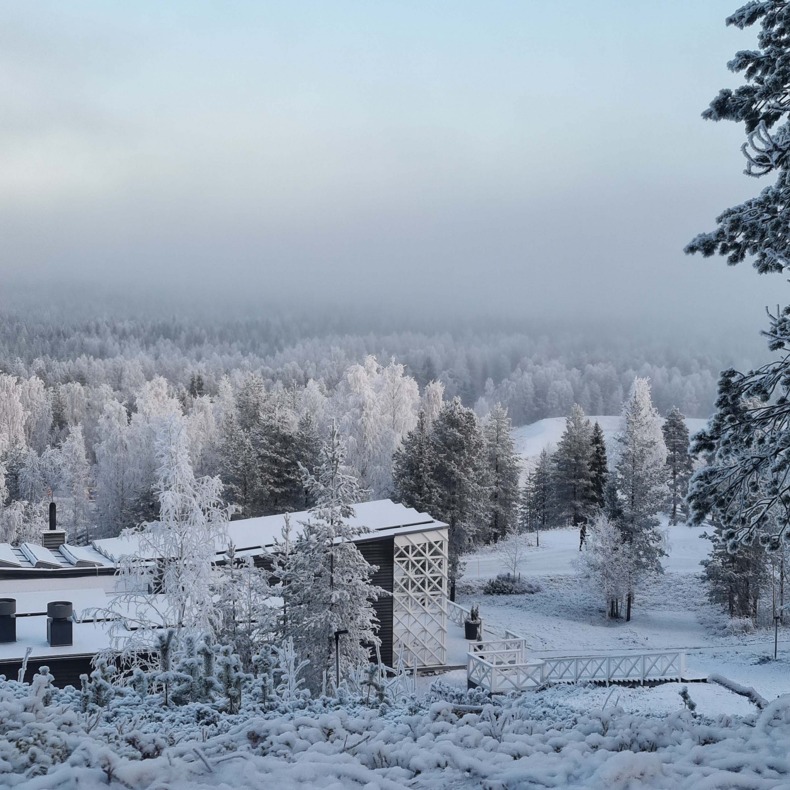 Beautiful frost covering the scenery at the Arctic TreeHouse Hotel