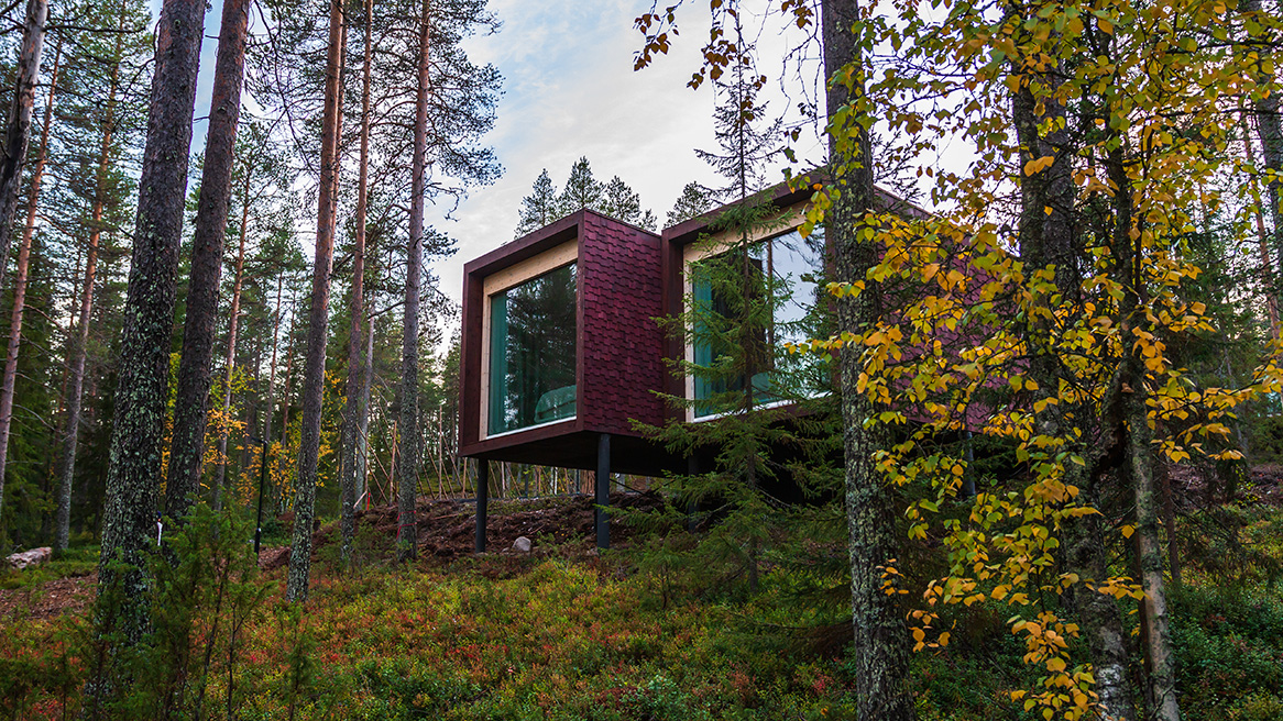 Beautiful autumn colors at Arctic TreeHouse Hotel Lapland.