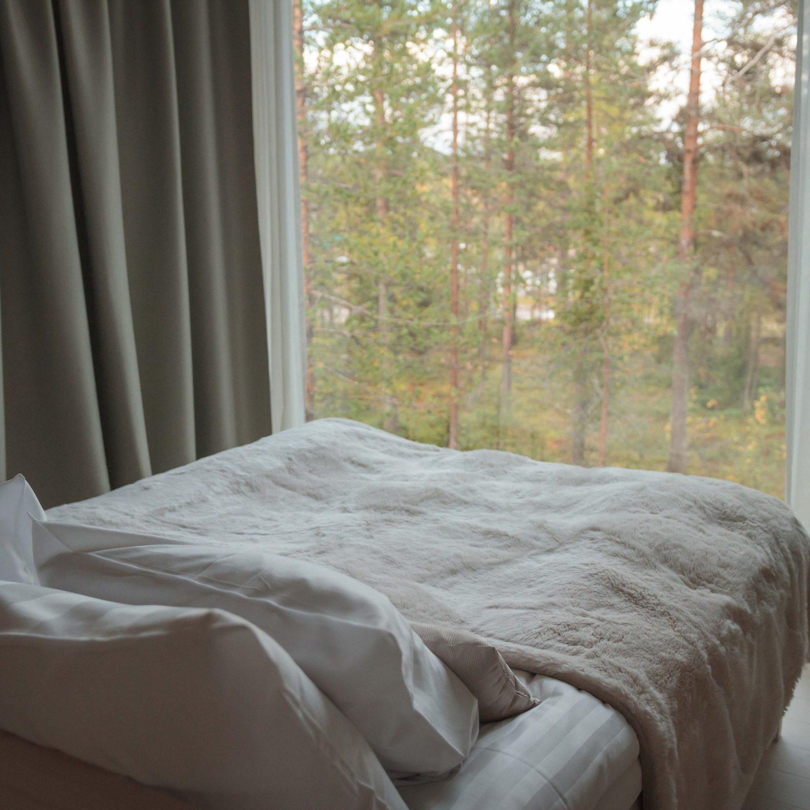 Luxurious bed by the panoramic window at the Arctic TreeHouse Hotel