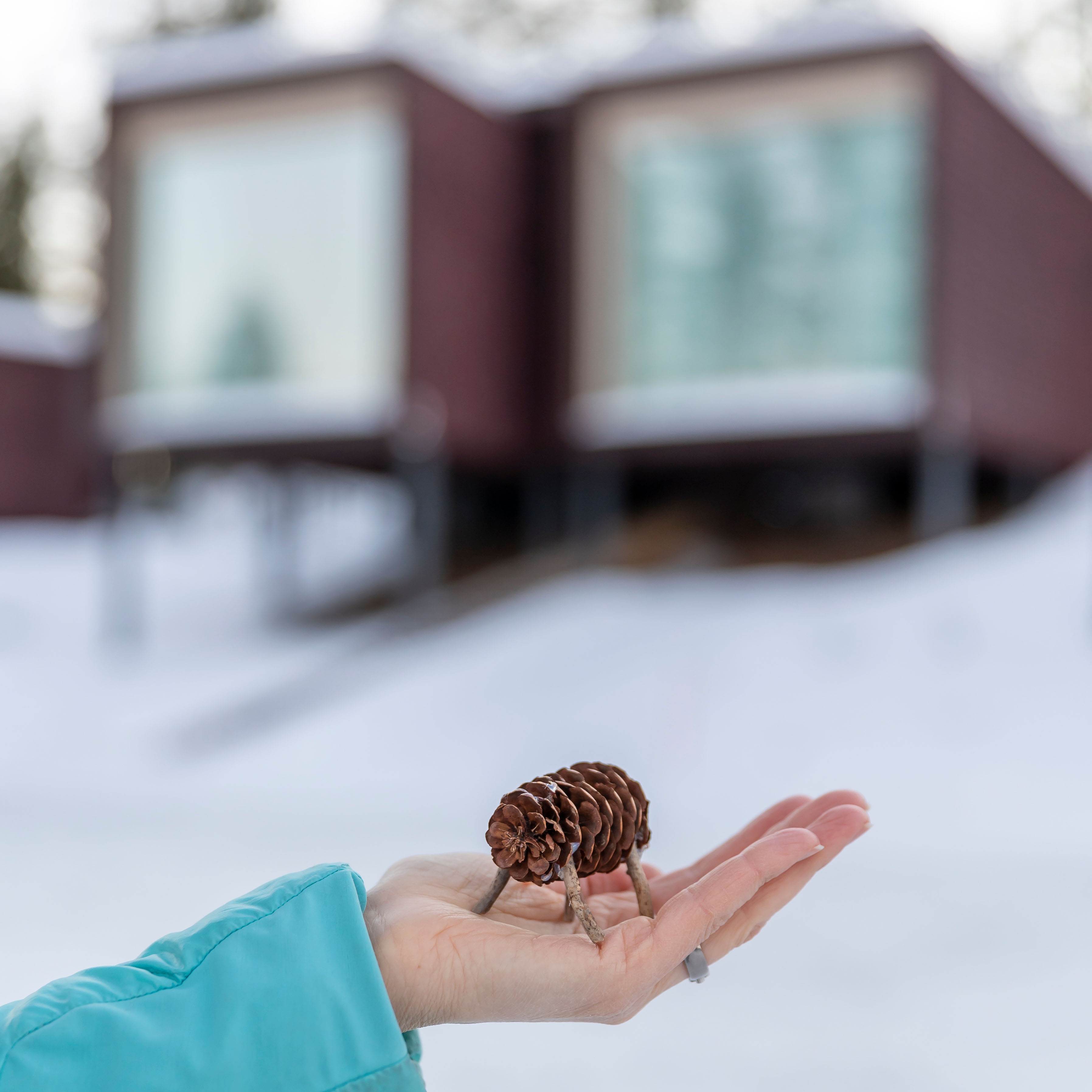 Arctic TreeHouse Suites in Rovaniemi, Lapland