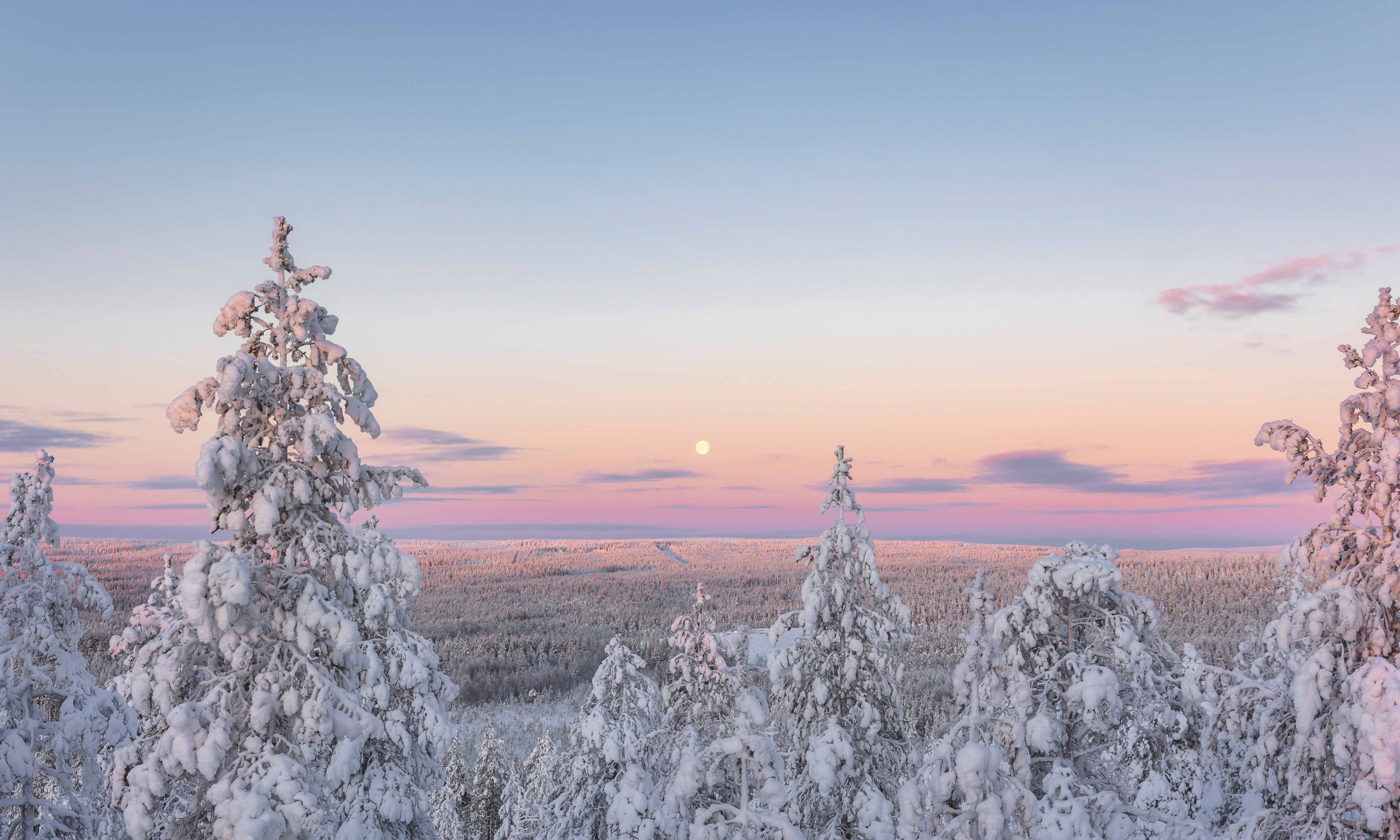 Winter scenery in Lapland Rovaniemi