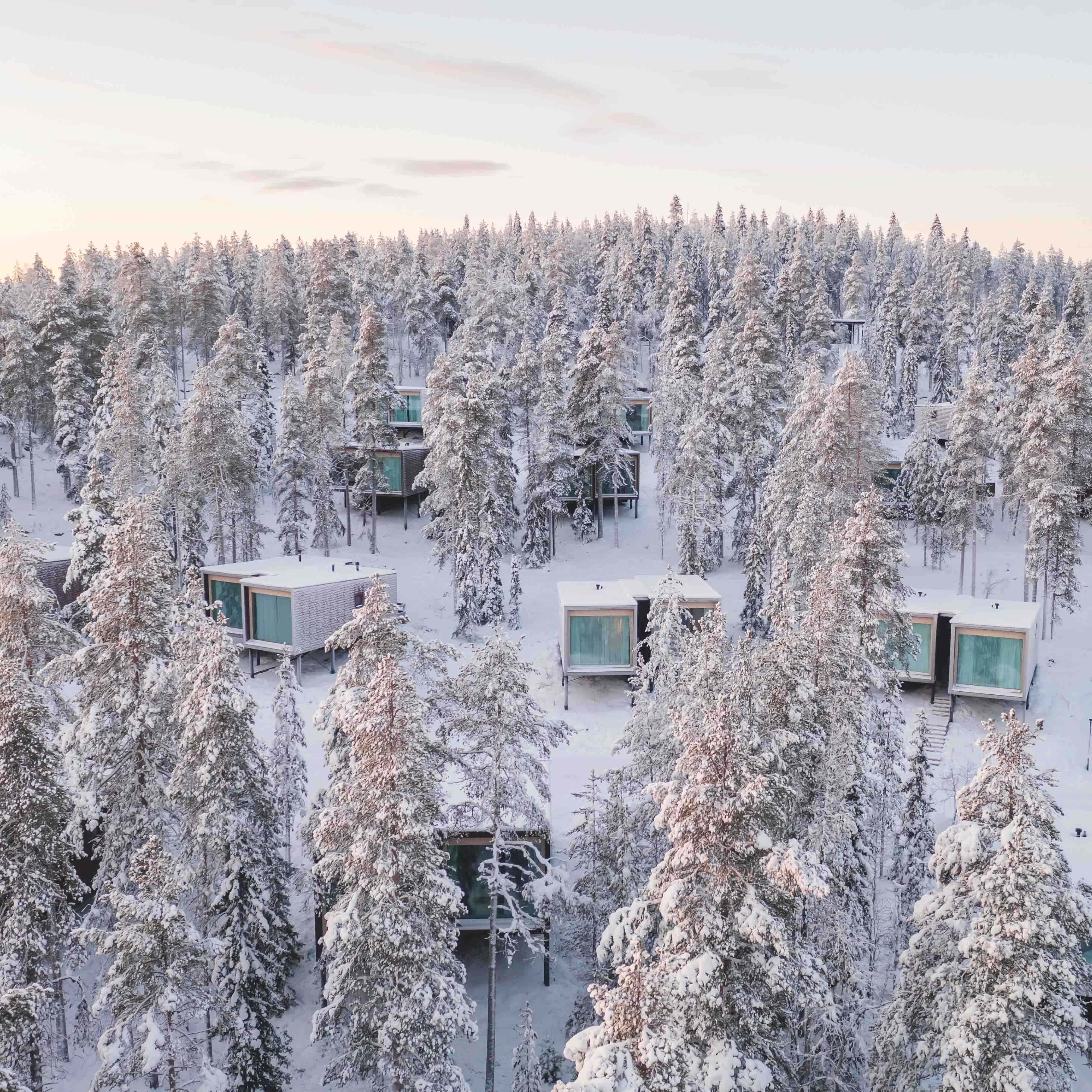 Beautiful winter scenery at Arctic TreeHouse Hotel