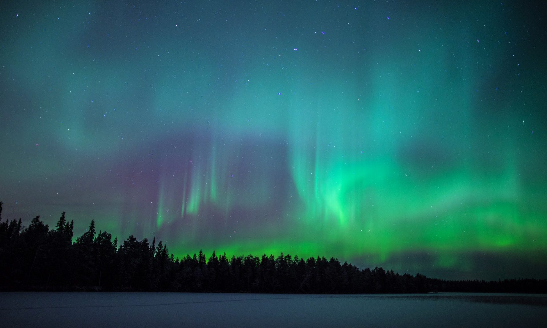 Northern lights dancing on a night sky in Lapland.