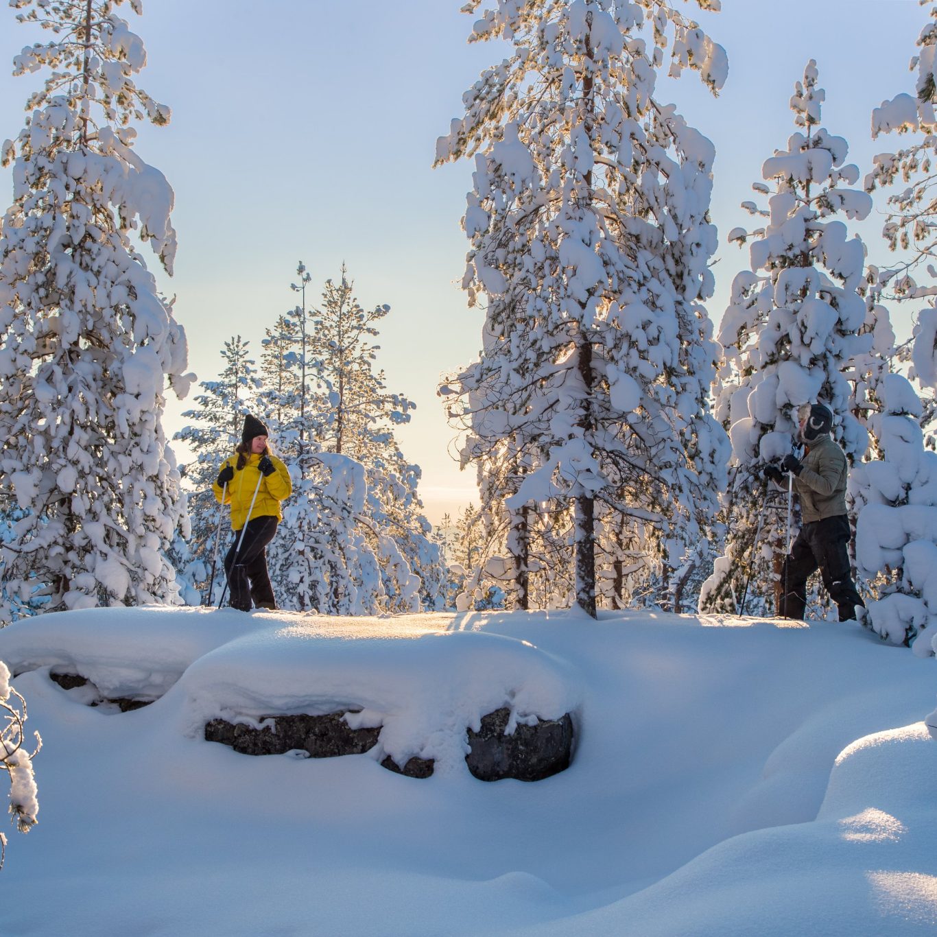 Winter Activities - Arctic Treehouse Hotel