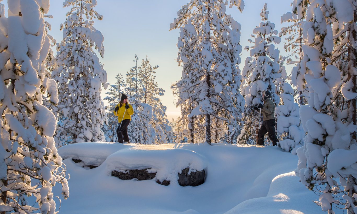 Winter activities - Arctic TreeHouse Hotel