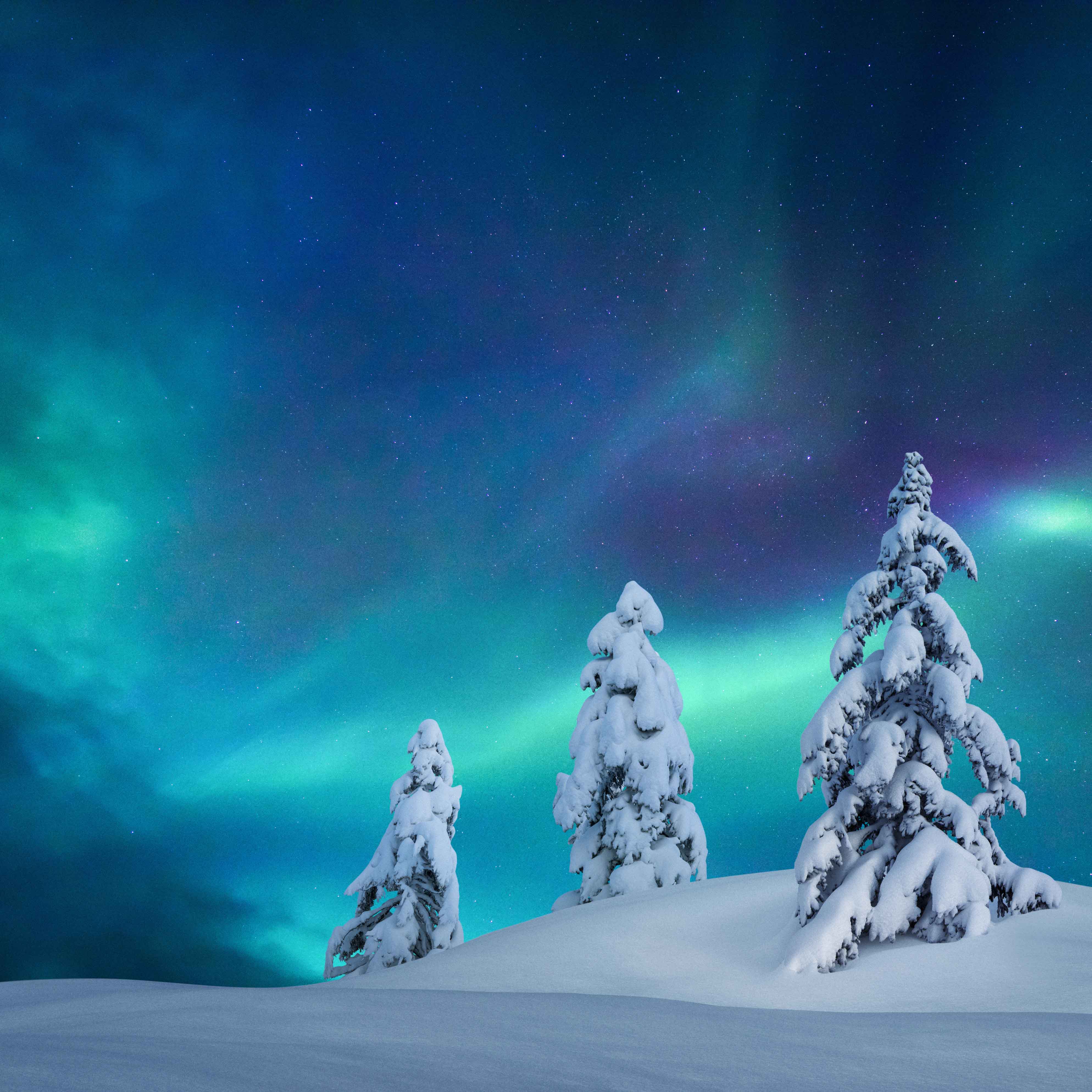Lapland Luxury curates a memorable and luxurious adventure in beautiful Lapland