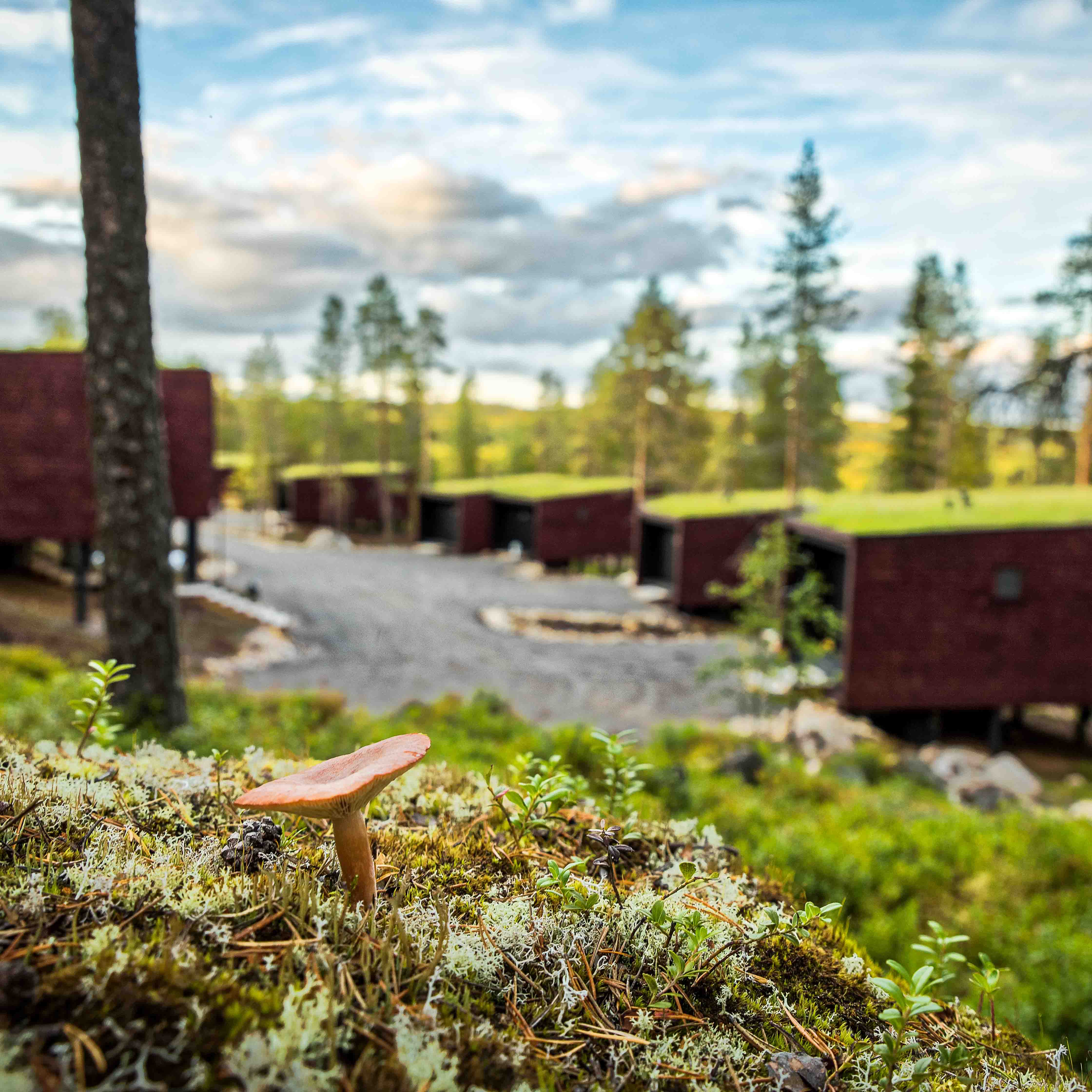Sustainable travel destination in Lapland Finland