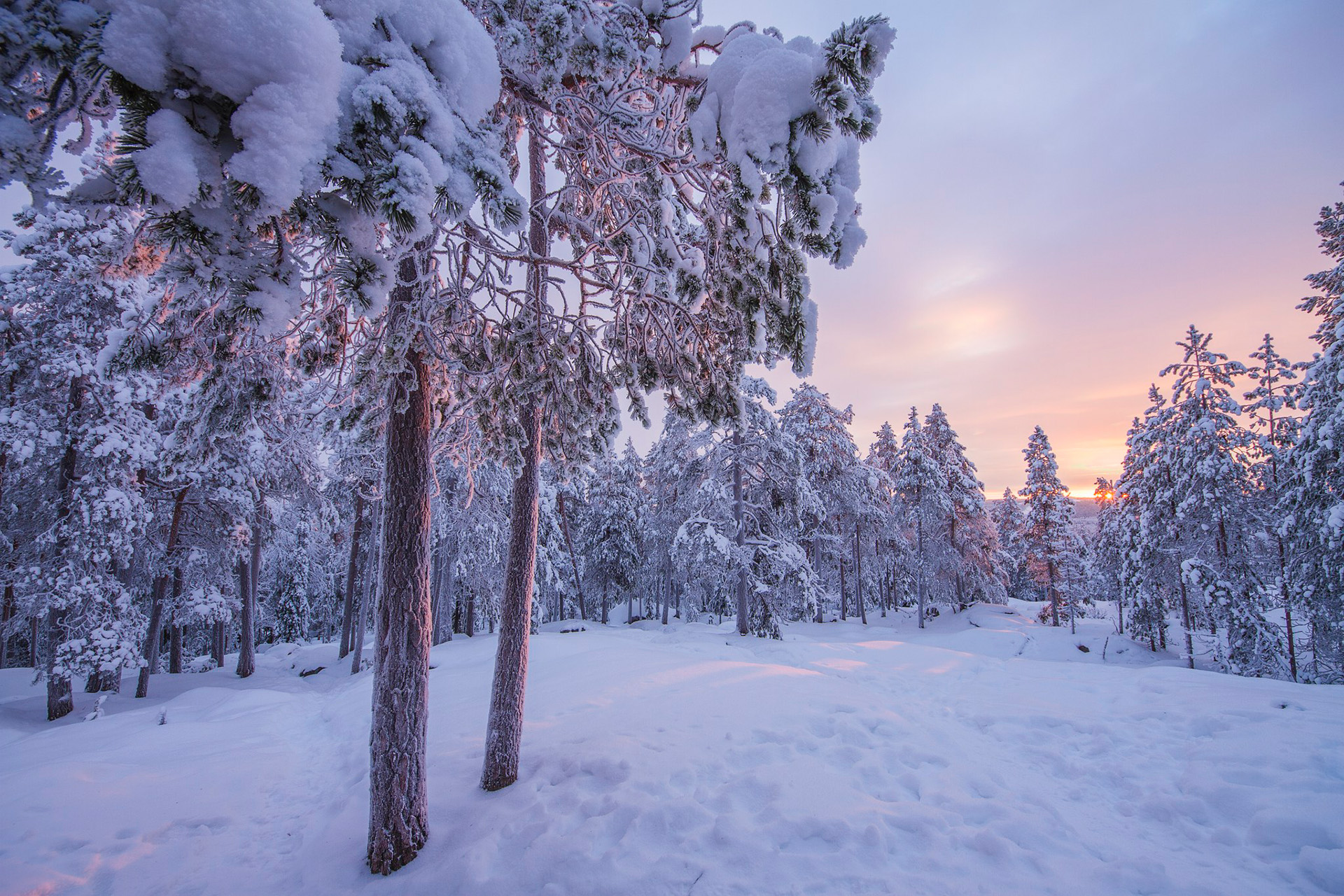 Snowy winter scenery in arctic circle Rovaniemi.