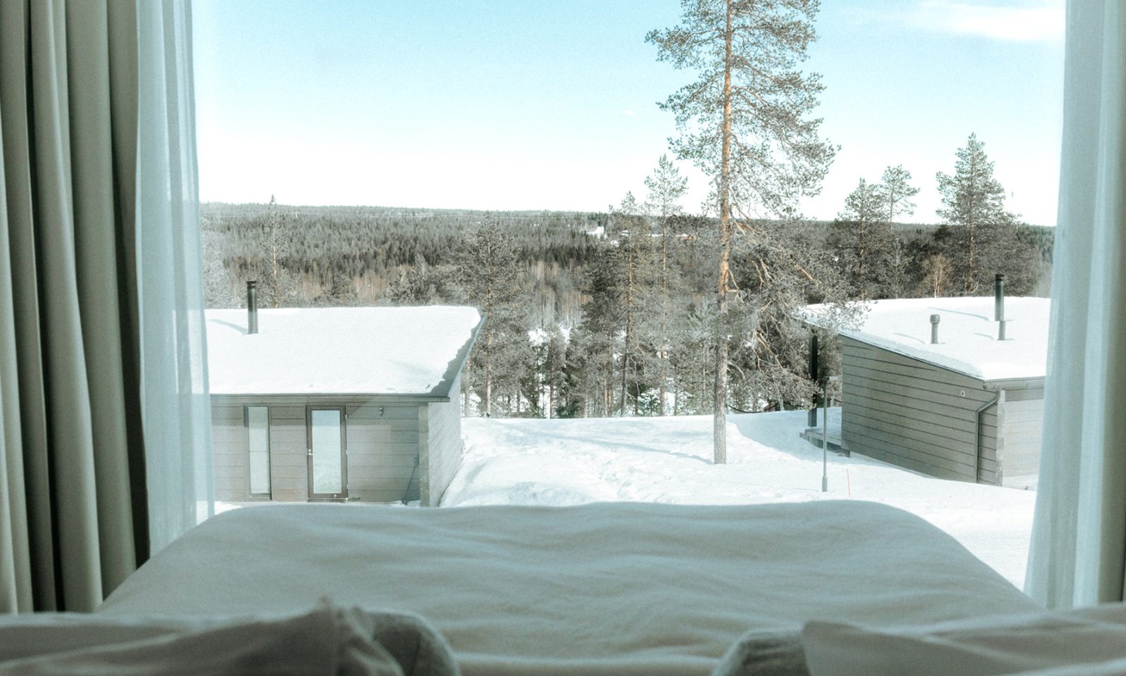 Arctic Scene Executive Suite scenery to the Arctic skies and Northern lights. | Arctic TreeHOuse Hotel Rovaniemi
