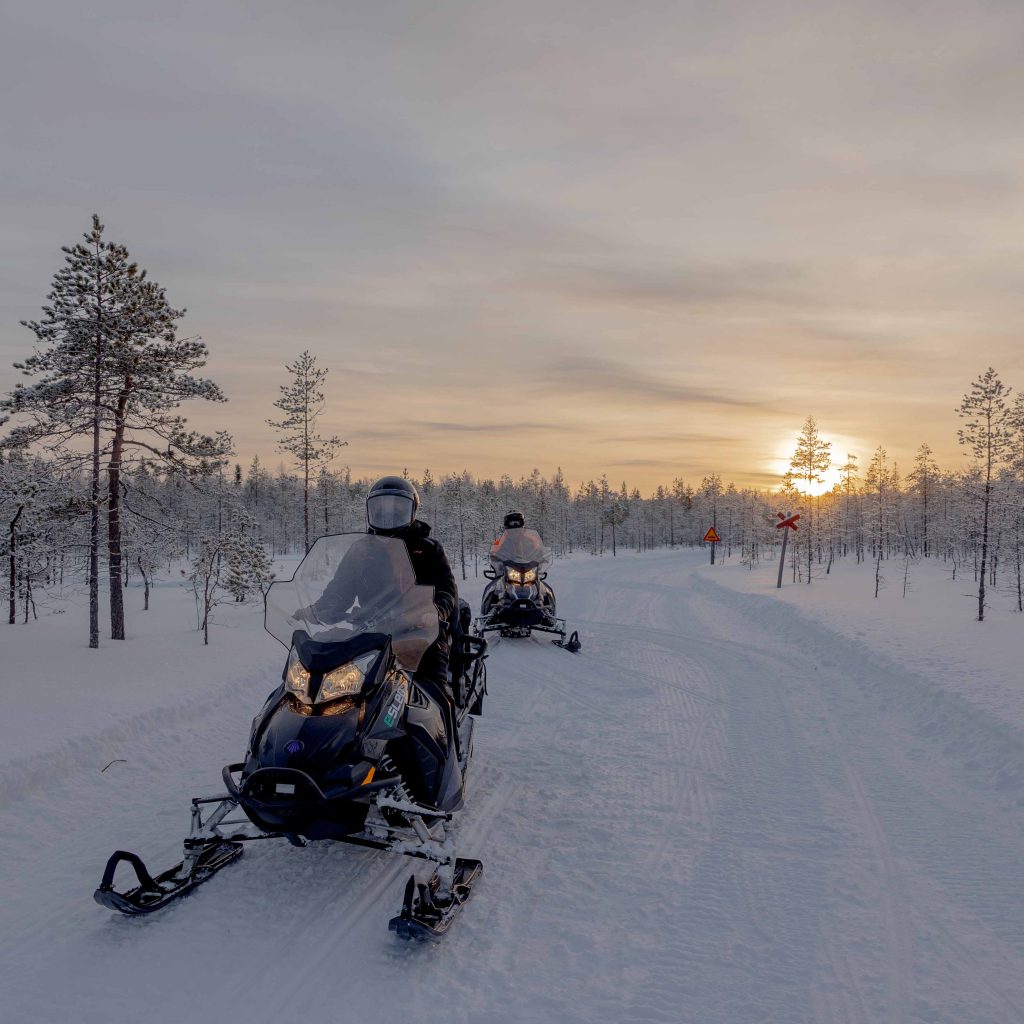 Spring Activities - Arctic Treehouse Hotel