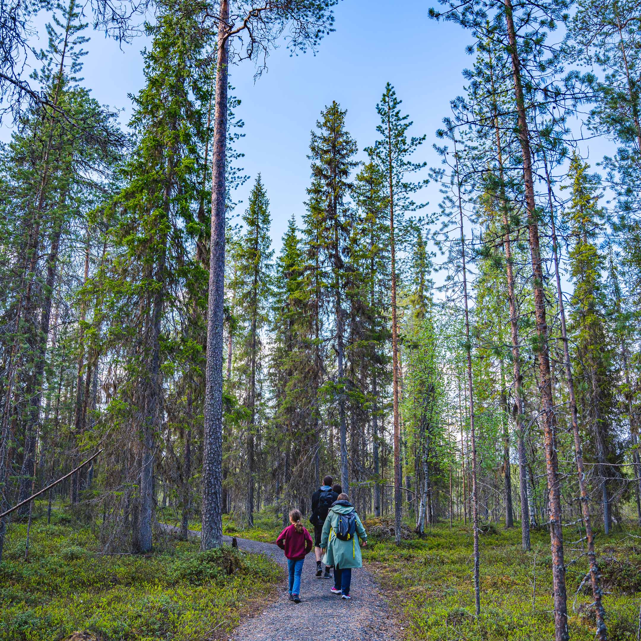 Family enjoying the arctic wilderness in Rovaniemi.