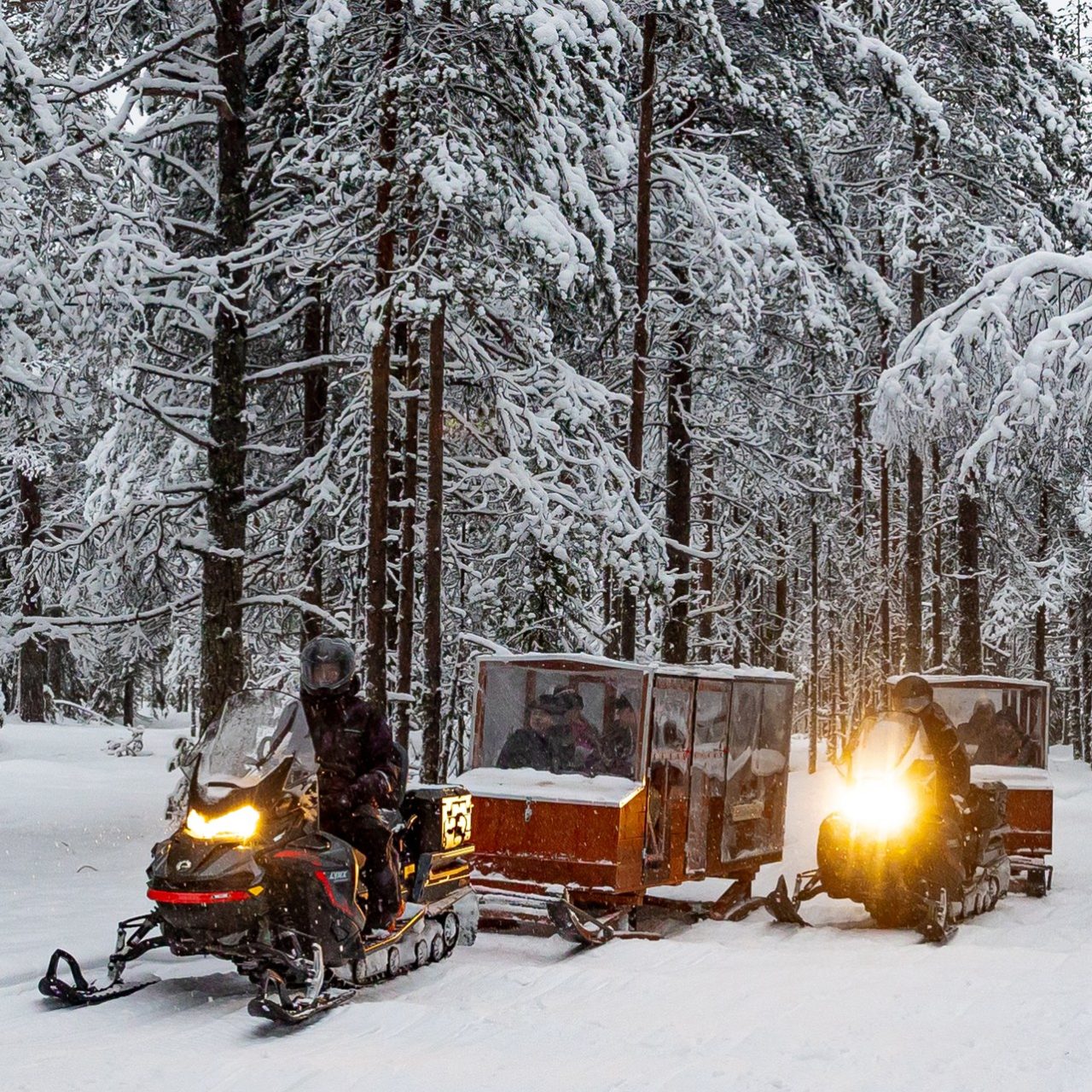 Arctic Adventure by Heated Sleigh by Arctic TreeHouse Experiences, Rovaniemi, Lapland.