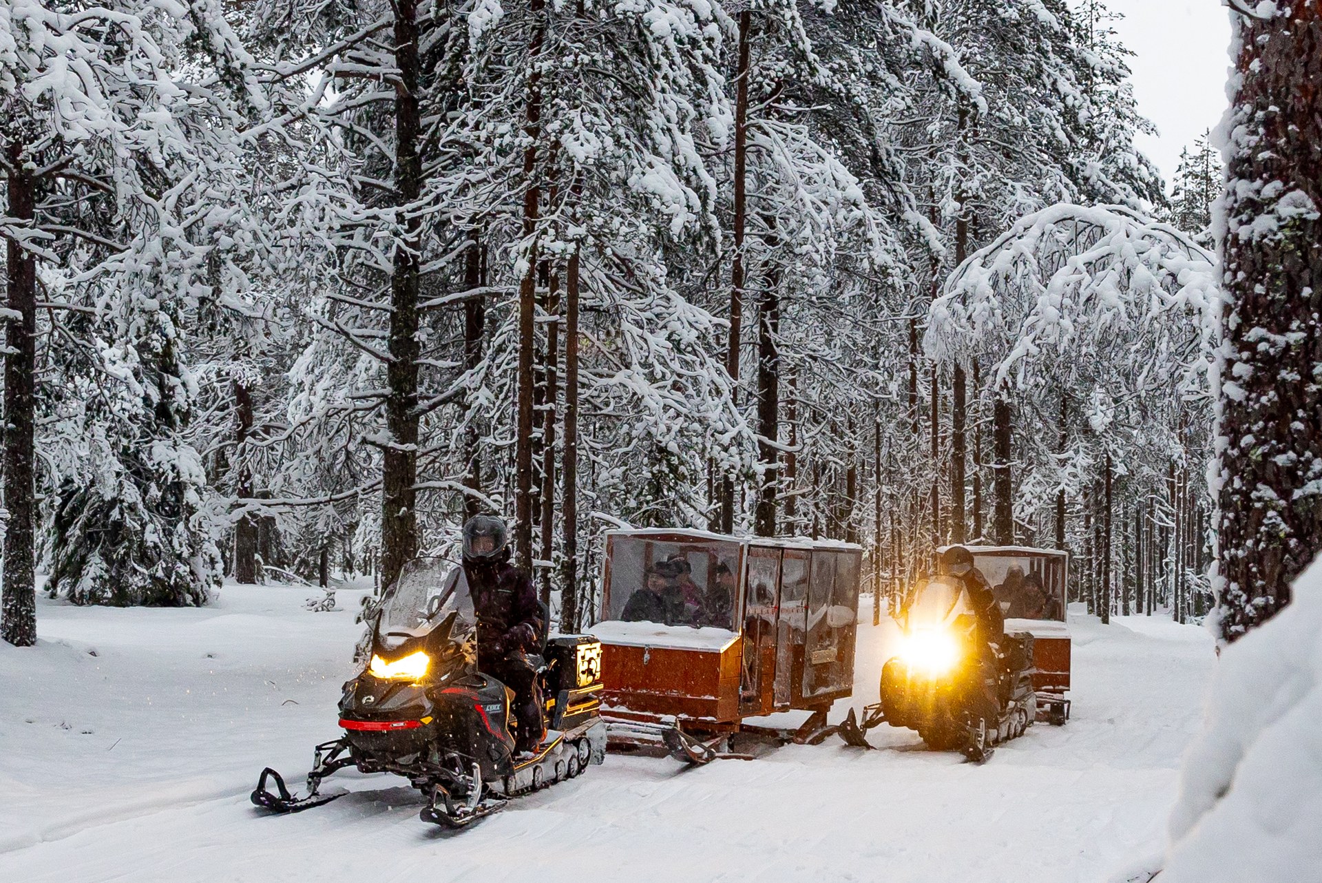 Arctic Adventure by Heated Sleigh by Arctic TreeHouse Experiences, Rovaniemi, Lapland.