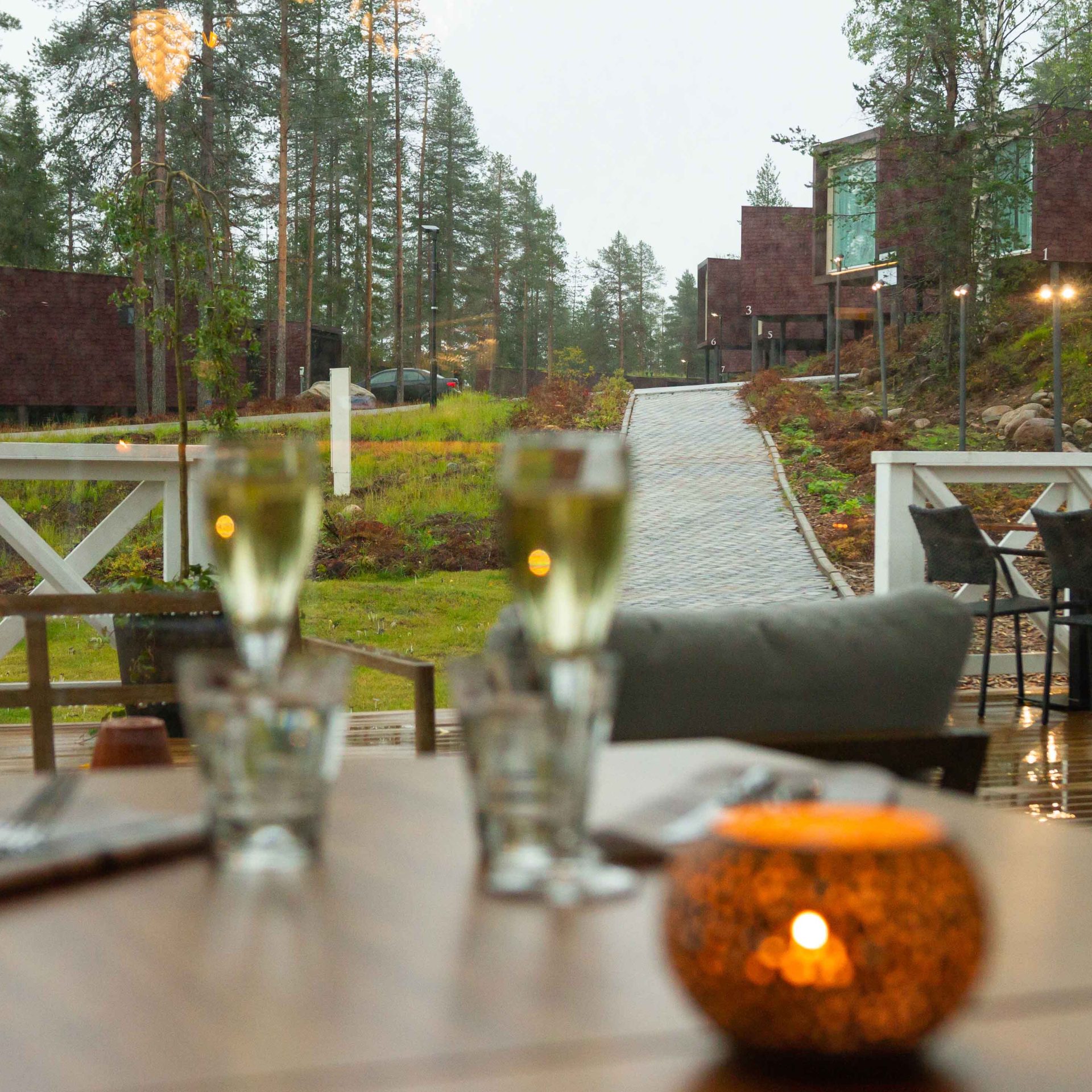 Arctic TreeHouse Hotel surroundings in autumn.