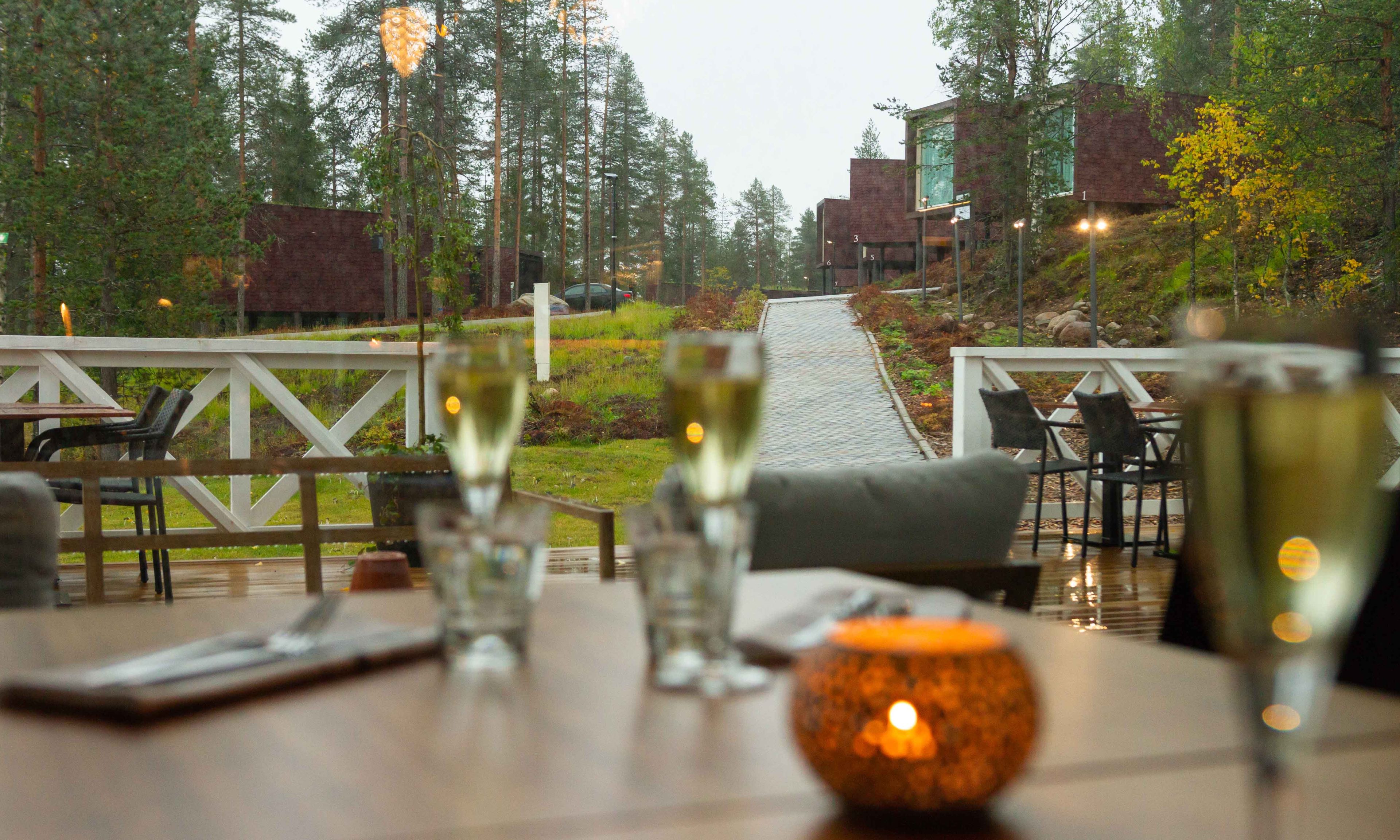 Arctic TreeHouse Hotel surroundings in autumn.