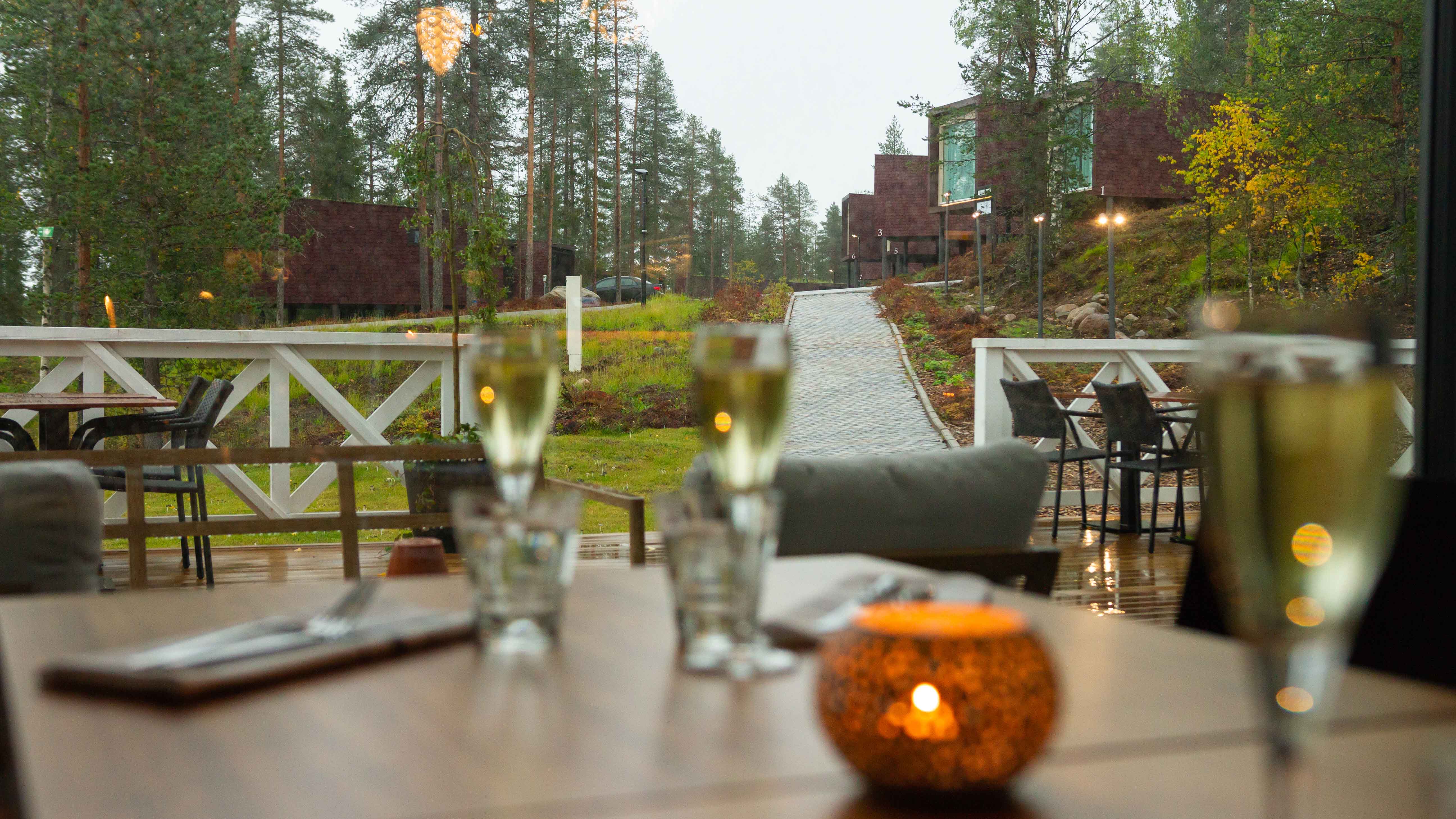 Arctic TreeHouse Hotel surroundings in autumn.
