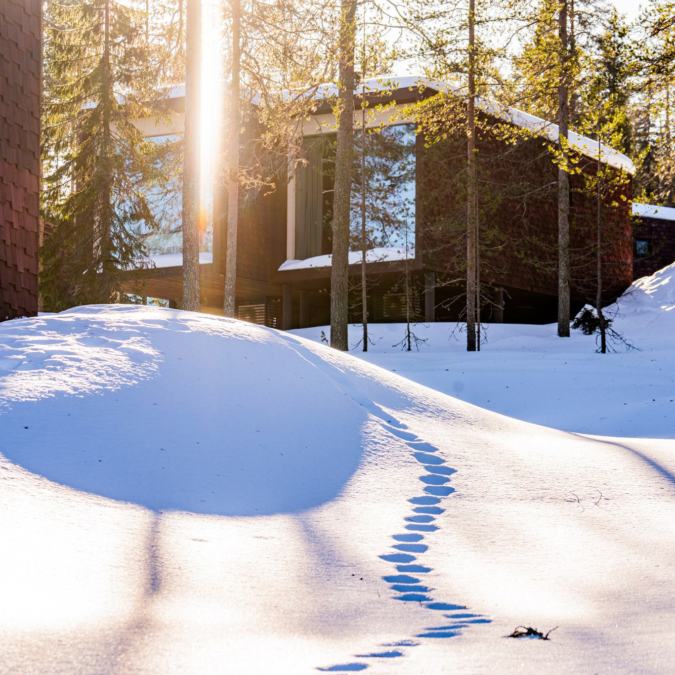 Increasing sunlight in March at the Arctic TreeHouse Hotel, Rovaniemi Finland.