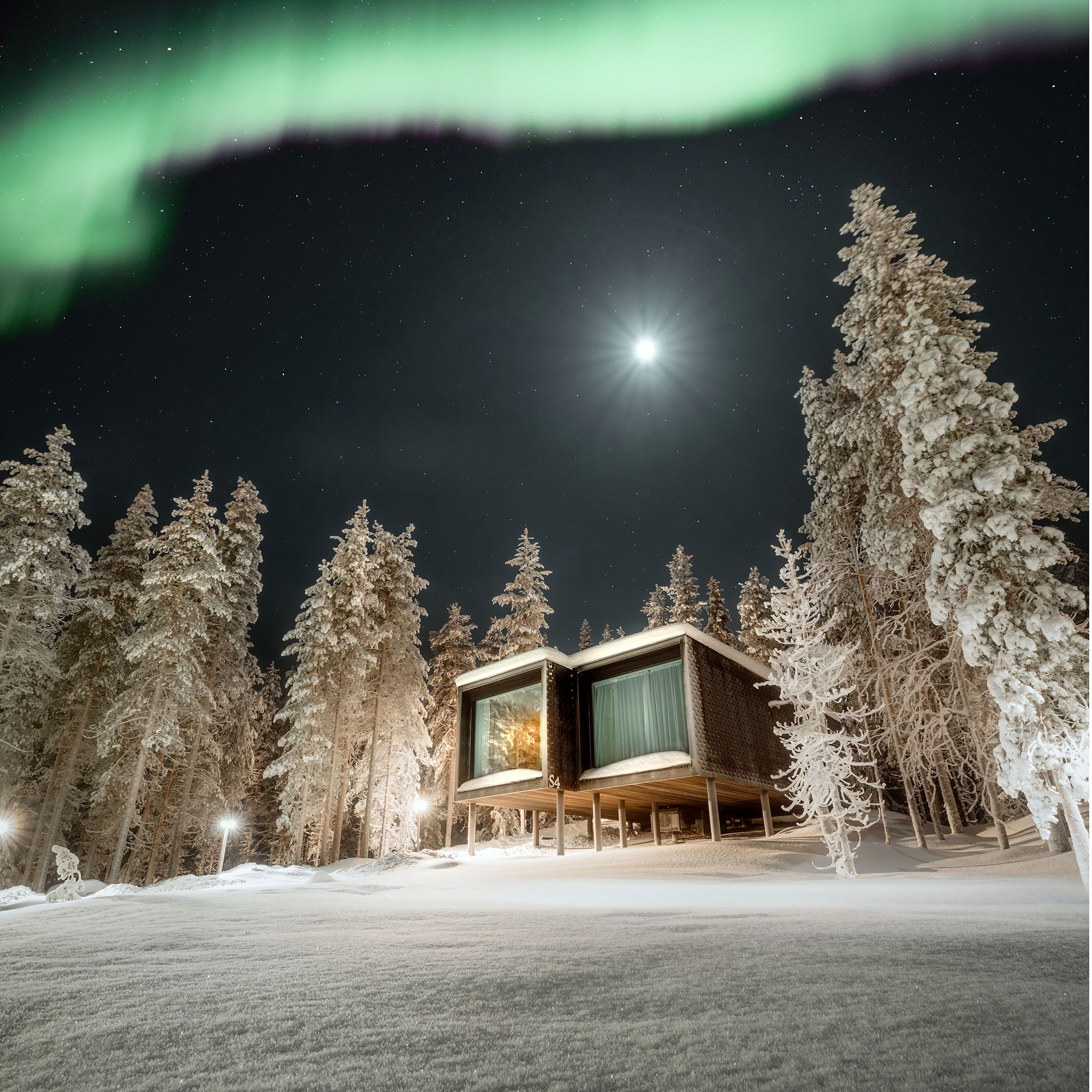 Northern lights above Arctic Treehouse Hotel Suite in Lapland.