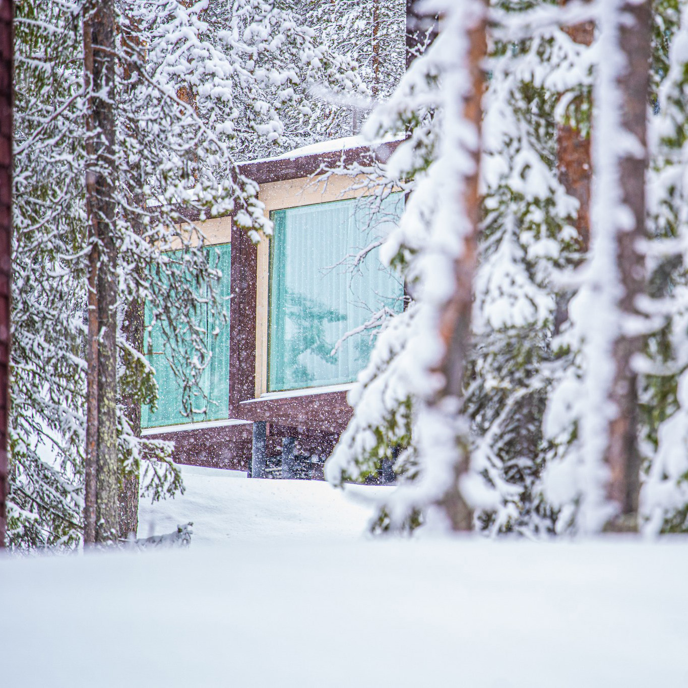 Snowy surrounding of the Arctic TreeHouse Hotel, Rovaniemi Finland.