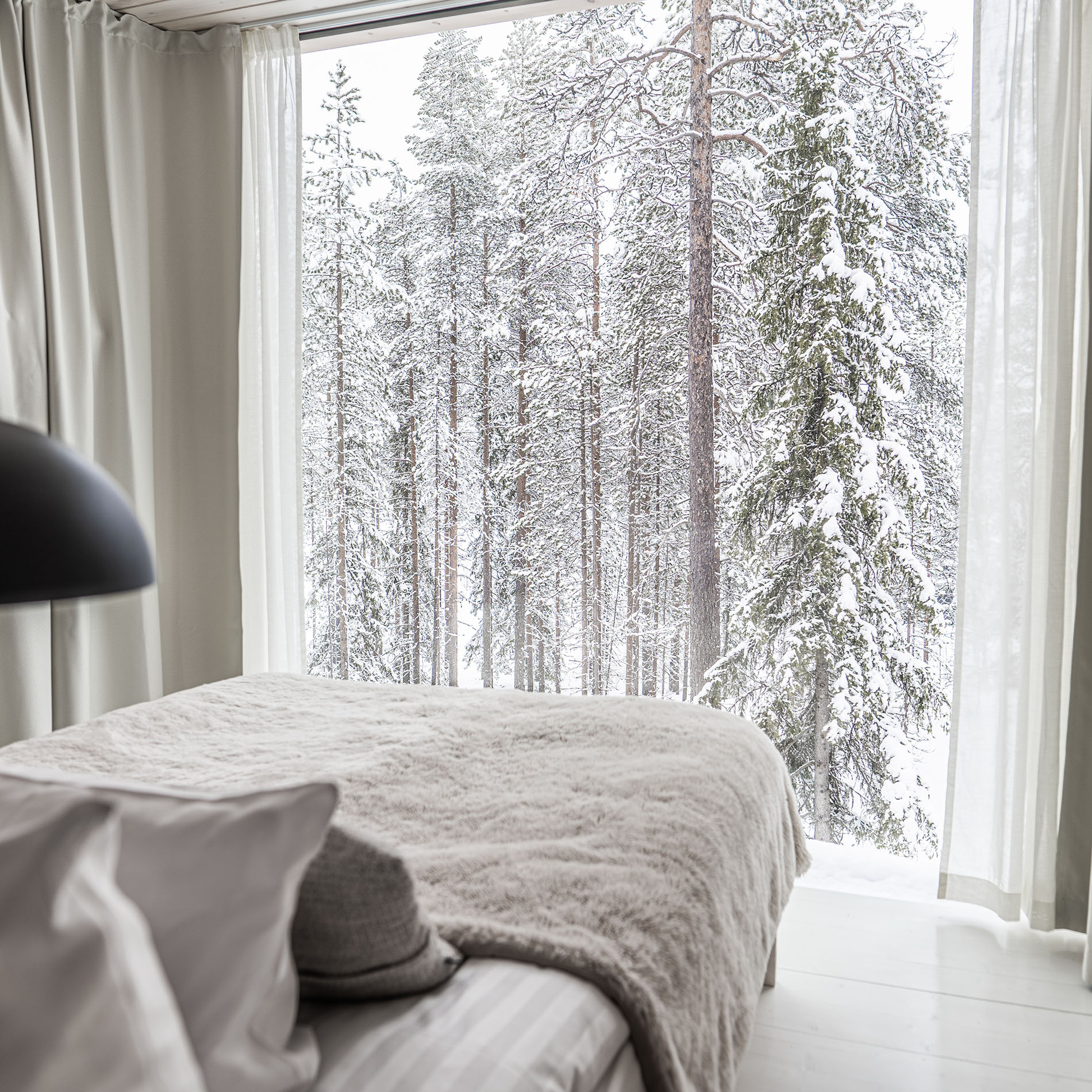 Winter wonderland from the panoramic windows of Arctic TreeHouse Suite.