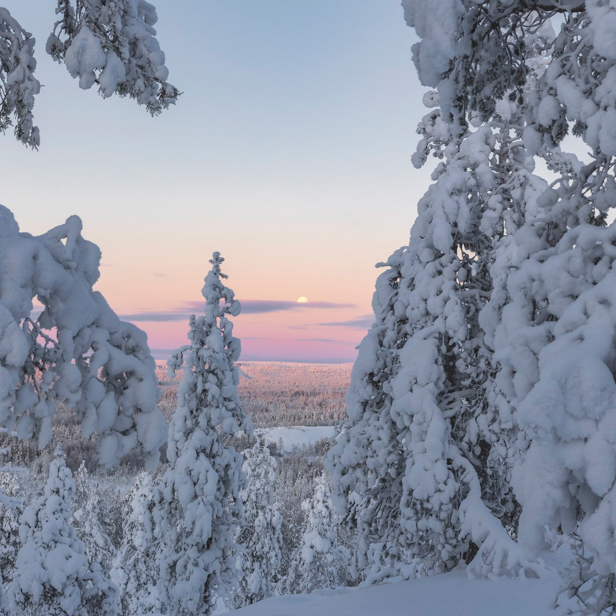 Polar nights at the Arctic Circle, Rovaniemi, Finland.