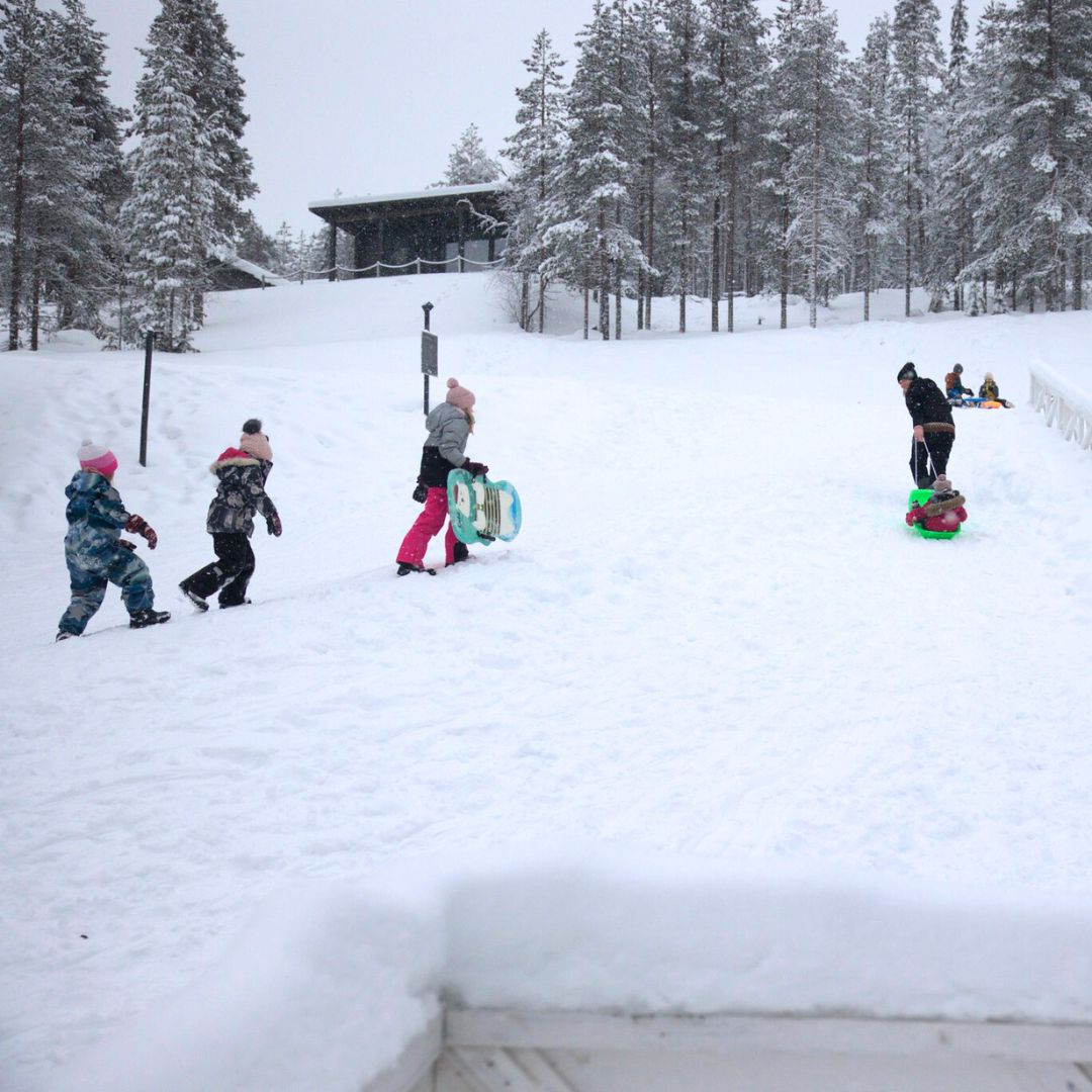 Kids and adults tobogganing at the Arctic TreeHouse Hotel.