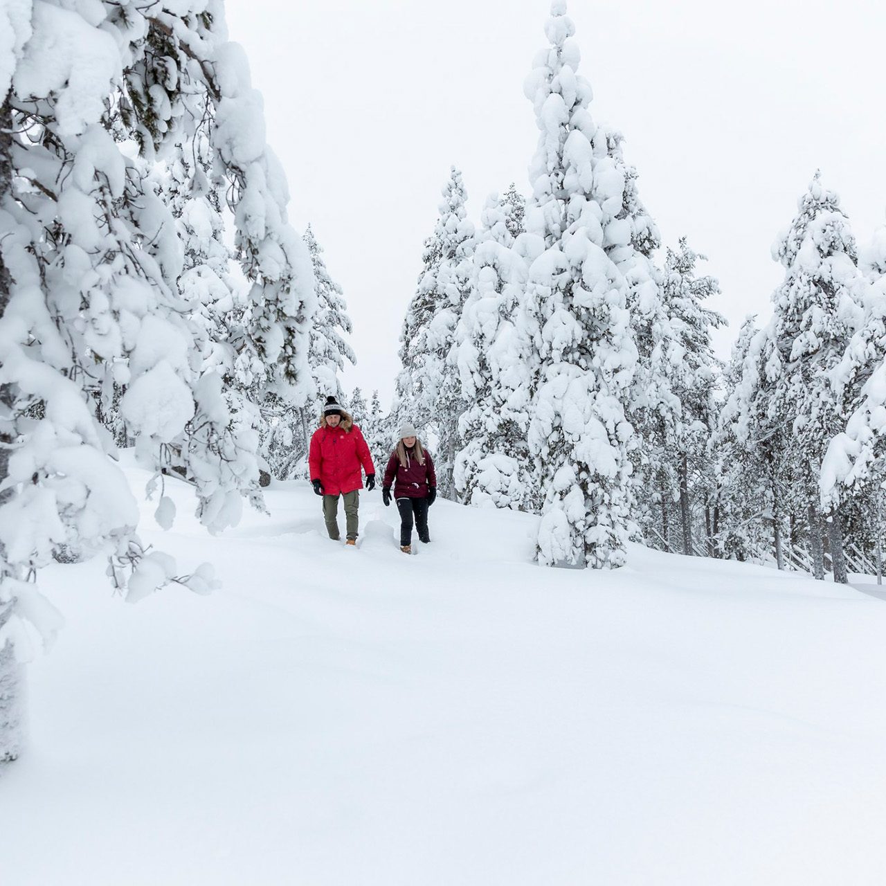 Couple enjoying winter forest walk. | Arctic TreeHouse Hotel, Finland.