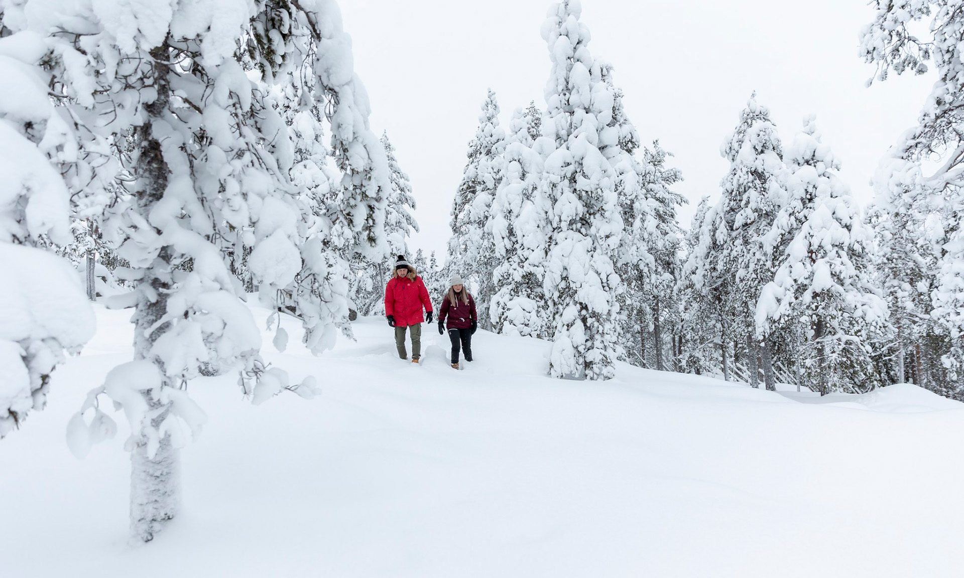 Couple enjoying winter forest walk. | Arctic TreeHouse Hotel, Finland.