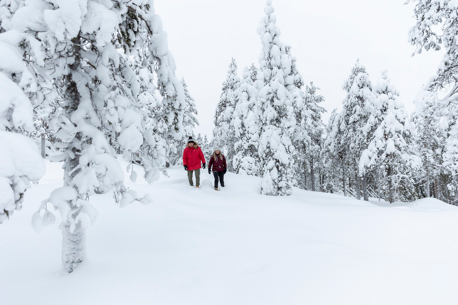 Couple enjoying winter forest walk. | Arctic TreeHouse Hotel, Finland.