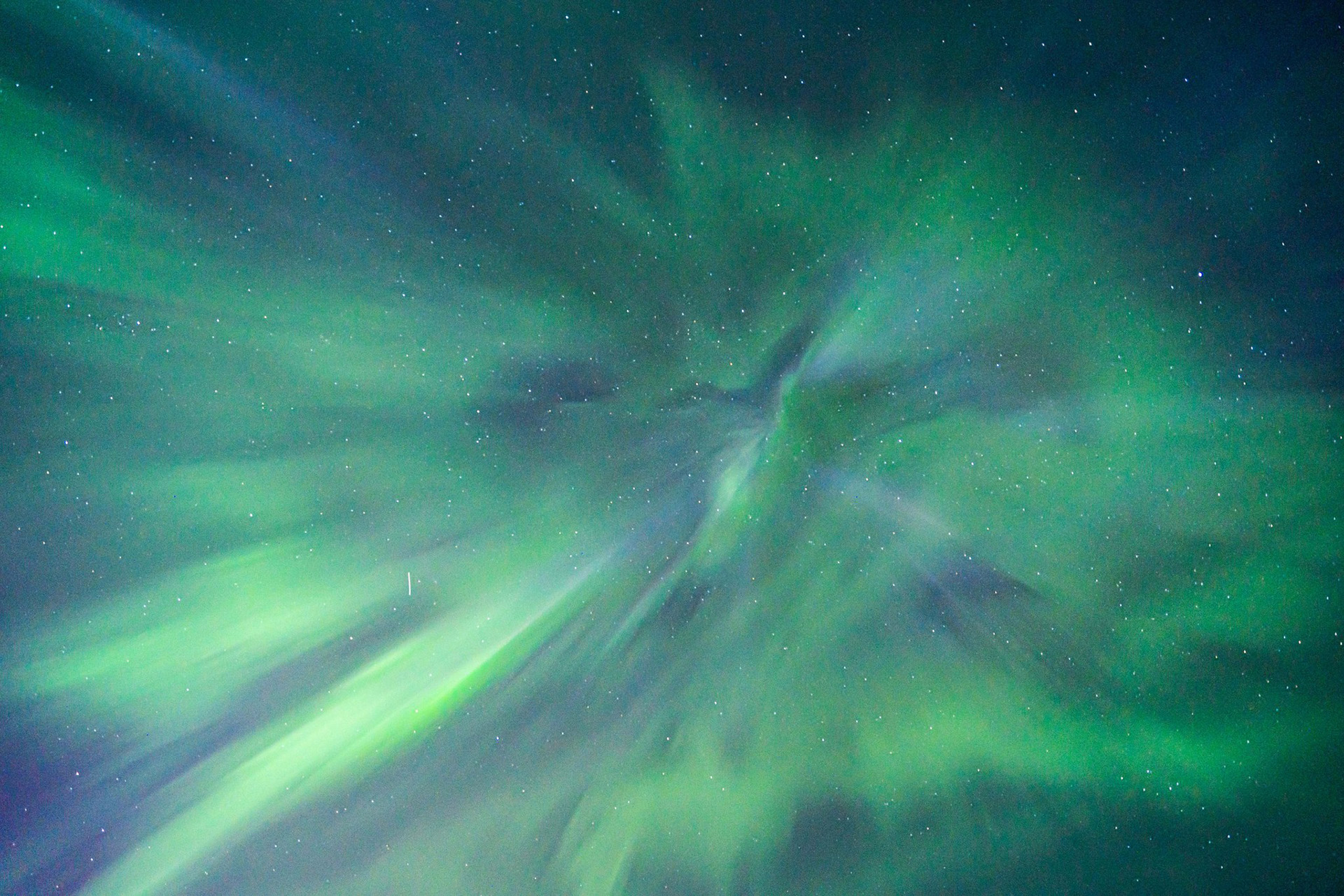 Aurora Borealis dancing on the Arctic sky. | Arctic TreeHouse Hotel, Rovaniemi