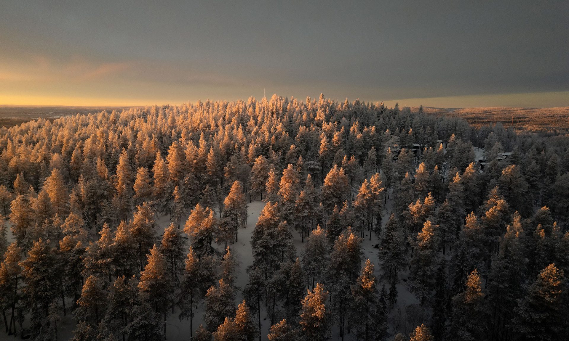 Arctic TreeHouse Hotel is surrounded by beautiful Lappish nature.