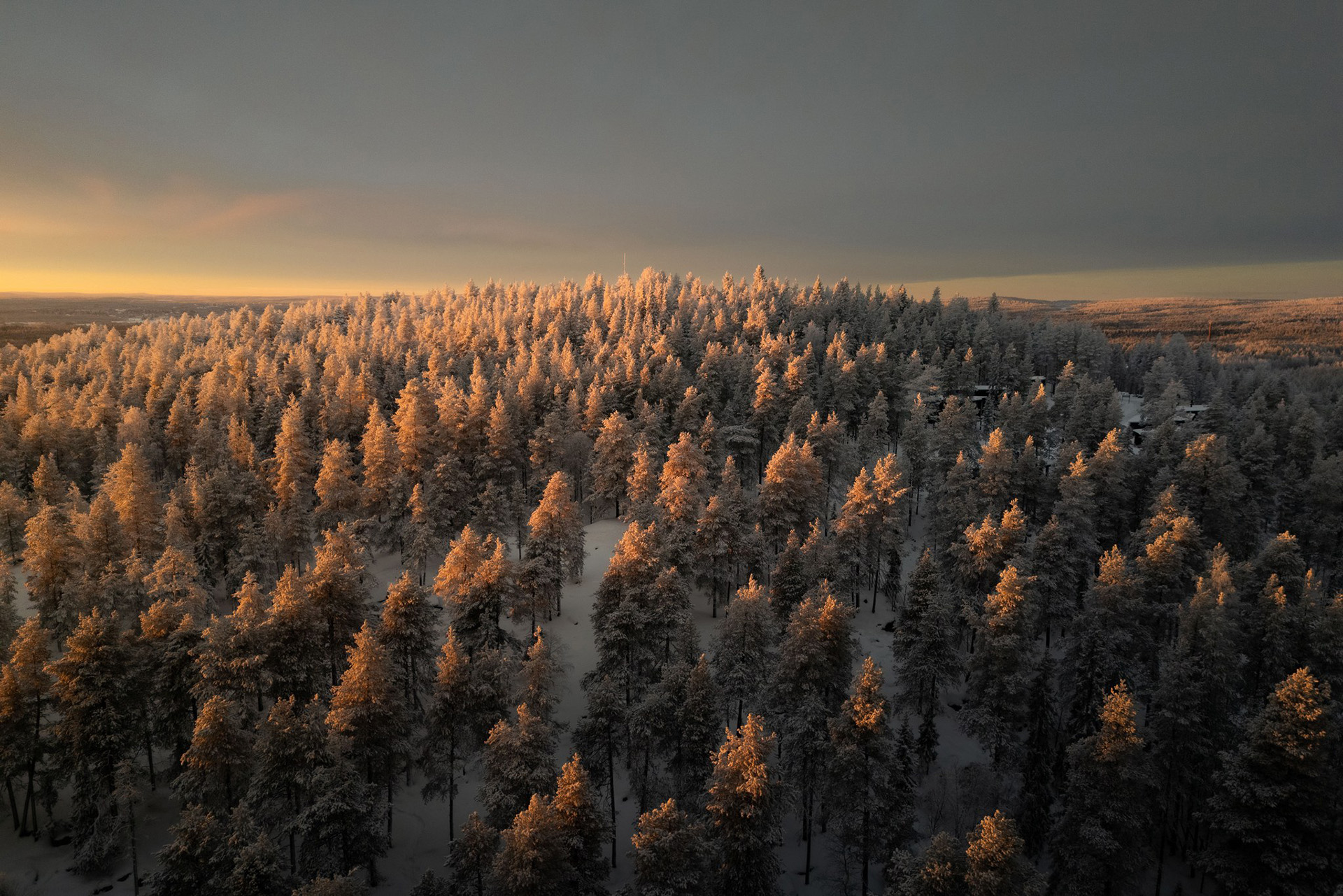 Arctic TreeHouse Hotel is surrounded by beautiful Lappish nature.