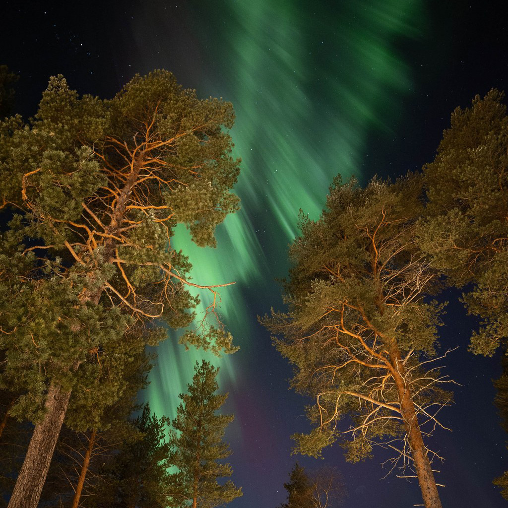 Northern Lights dancing in the arctic sky.