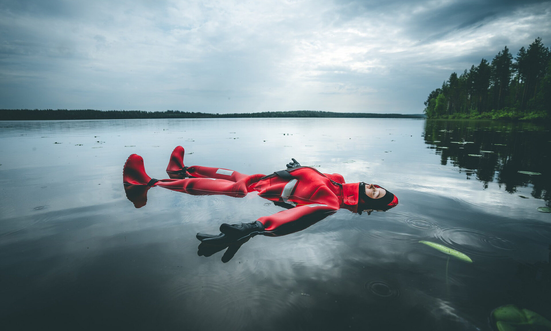 Arctic floating in the autumn afternoon in Lake Sieri.