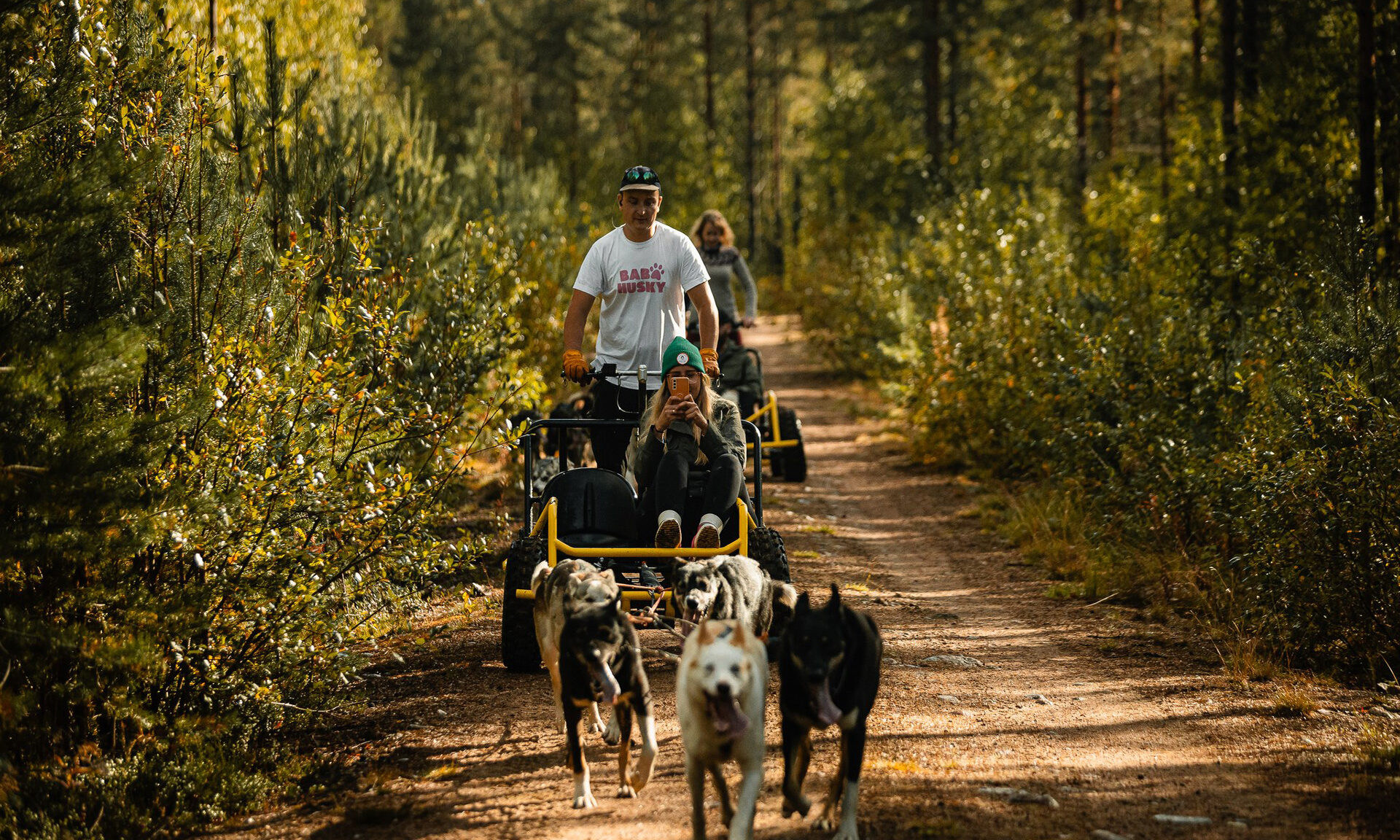 Husky on wheels tour in Rovaniemi, Finland.