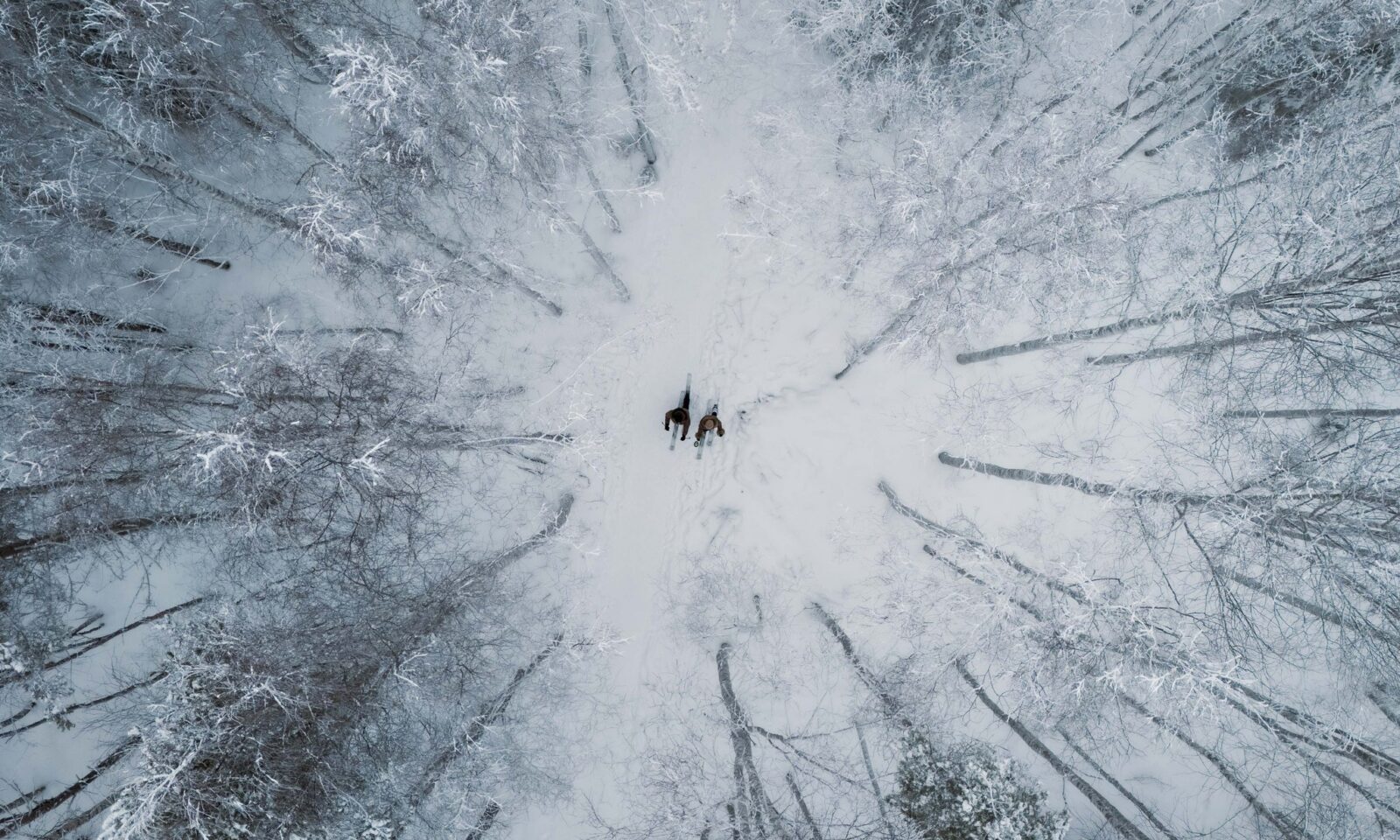 Couple skishoeing in snowy winter forest in Rovaniemi, Lapland, Finland.