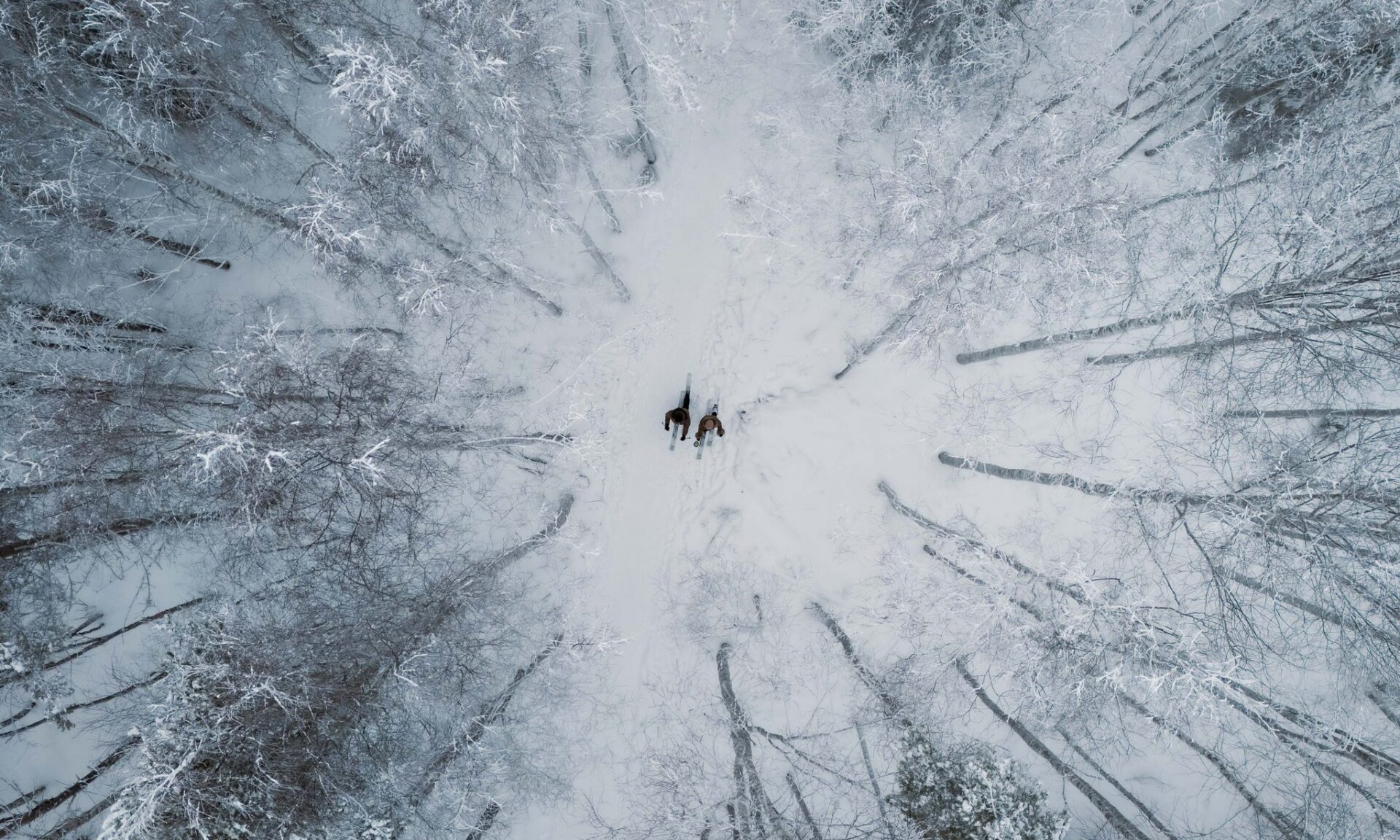 Couple skishoeing in snowy winter forest in Rovaniemi, Lapland, Finland.